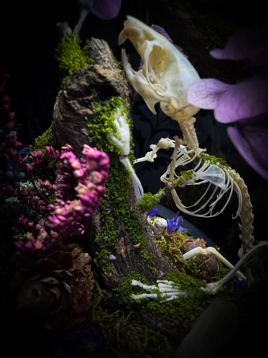 The Bumblebee's Garden | handmade whimsical glass dome with real bumblebee, mouse skeleton, moss, pine cones, mushrooms, pink violet and white dried flowers | Morbid Oddities
