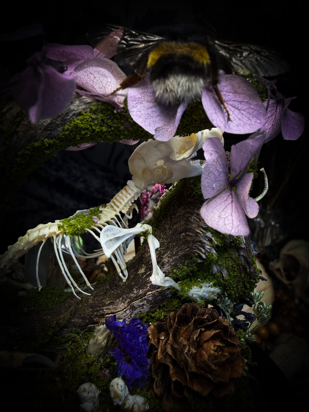 The Bumblebee's Garden | handmade whimsical glass dome with real bumblebee, mouse skeleton, moss, pine cones, mushrooms, pink violet and white dried flowers | Morbid Oddities
