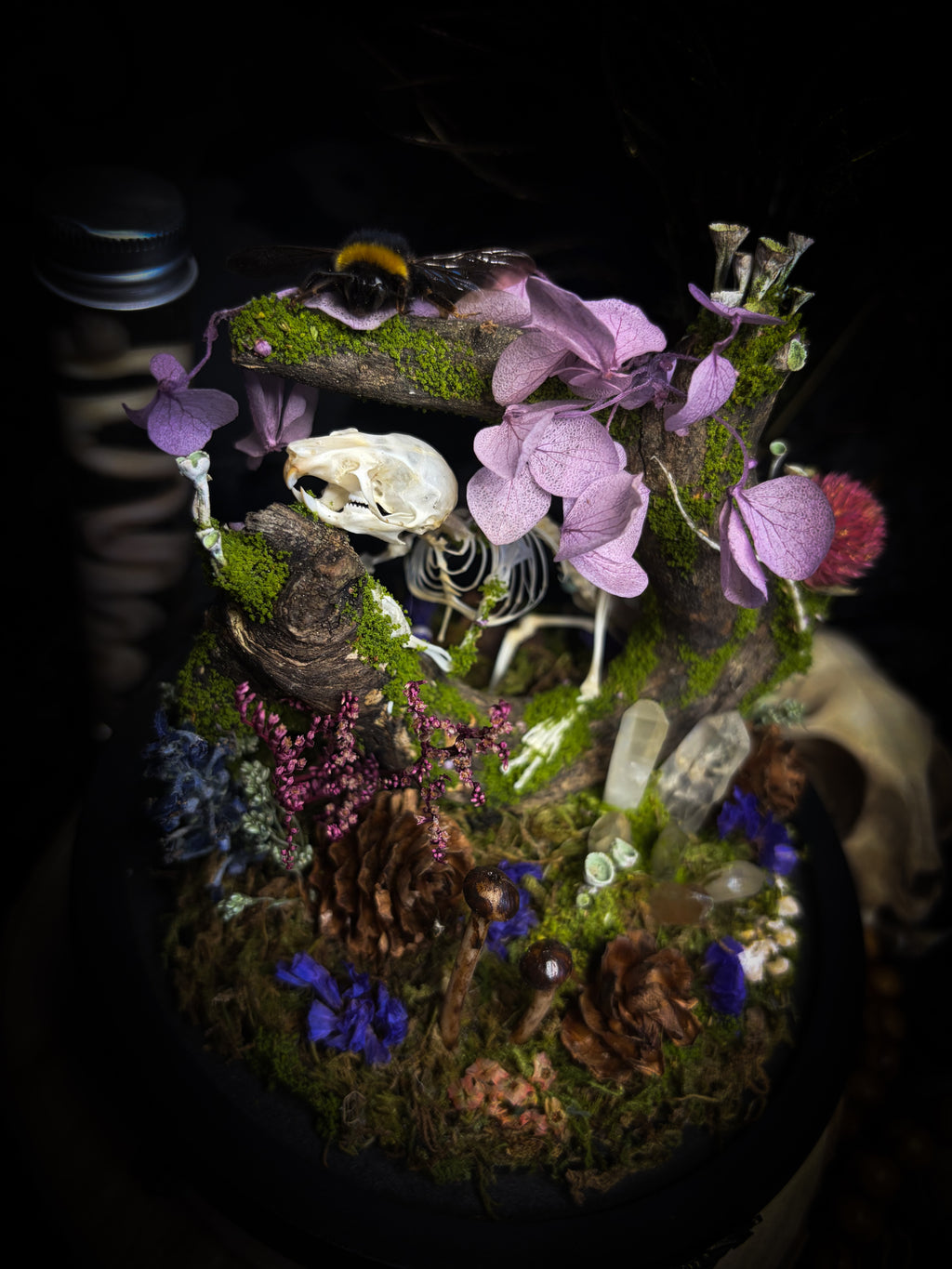 The Bumblebee's Garden | handmade whimsical glass dome with real bumblebee, mouse skeleton, moss, pine cones, mushrooms, pink violet and white dried flowers | Morbid Oddities
