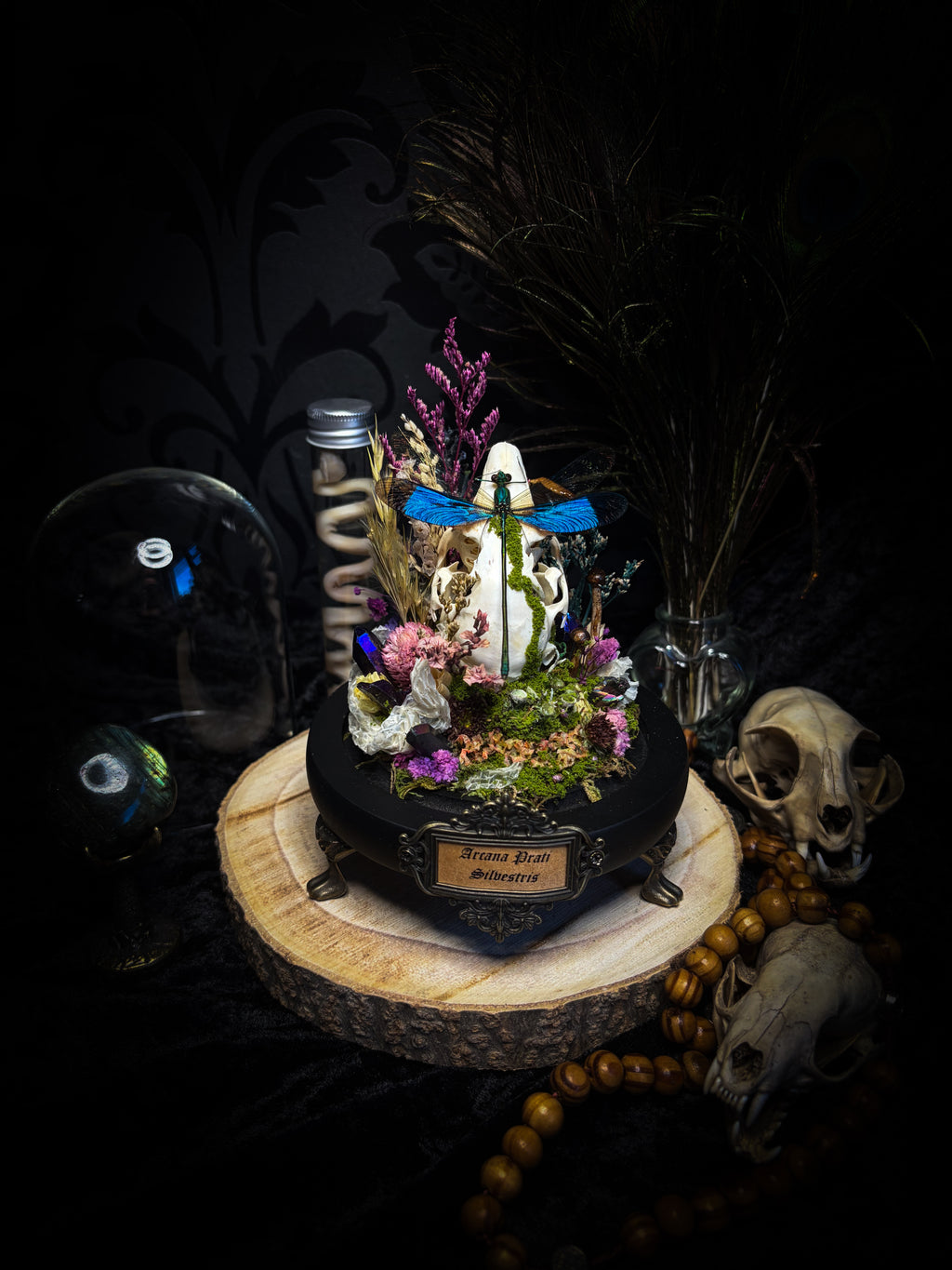 Arcana Prati Silvestris | handmade woodland glass dome with real rabbit skull, Calopteryx splendens dragonfly, snake skin, moss, lichen, dried flowers, dew-drop mushrooms and wooden base | Morbid Oddities
