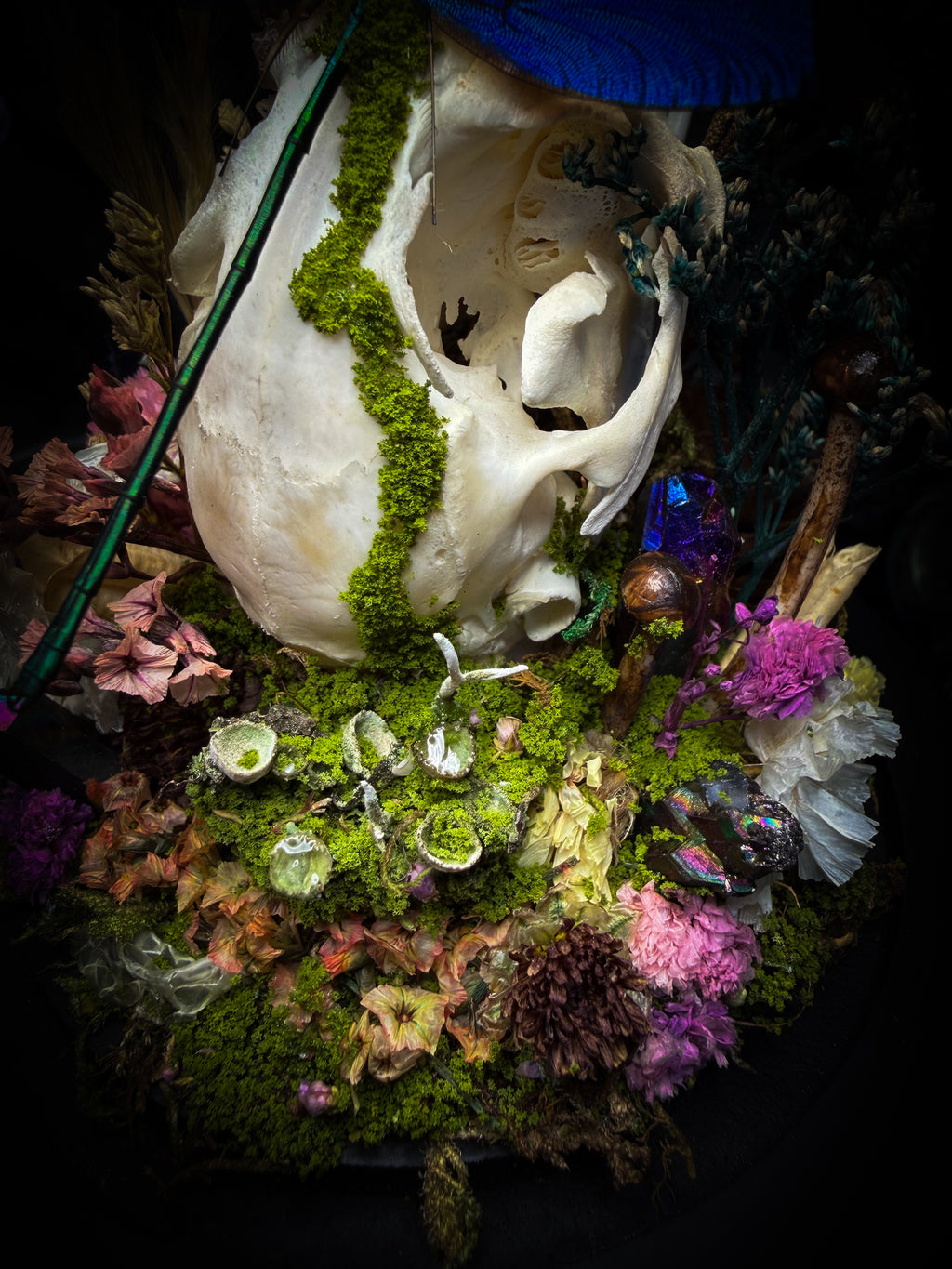 Arcana Prati Silvestris | handmade woodland glass dome with real rabbit skull, Calopteryx splendens dragonfly, snake skin, moss, lichen, dried flowers, dew-drop mushrooms and wooden base | Morbid Oddities
