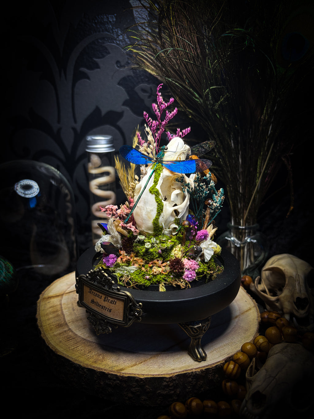 Arcana Prati Silvestris | handmade woodland glass dome with real rabbit skull, Calopteryx splendens dragonfly, snake skin, moss, lichen, dried flowers, dew-drop mushrooms and wooden base | Morbid Oddities
