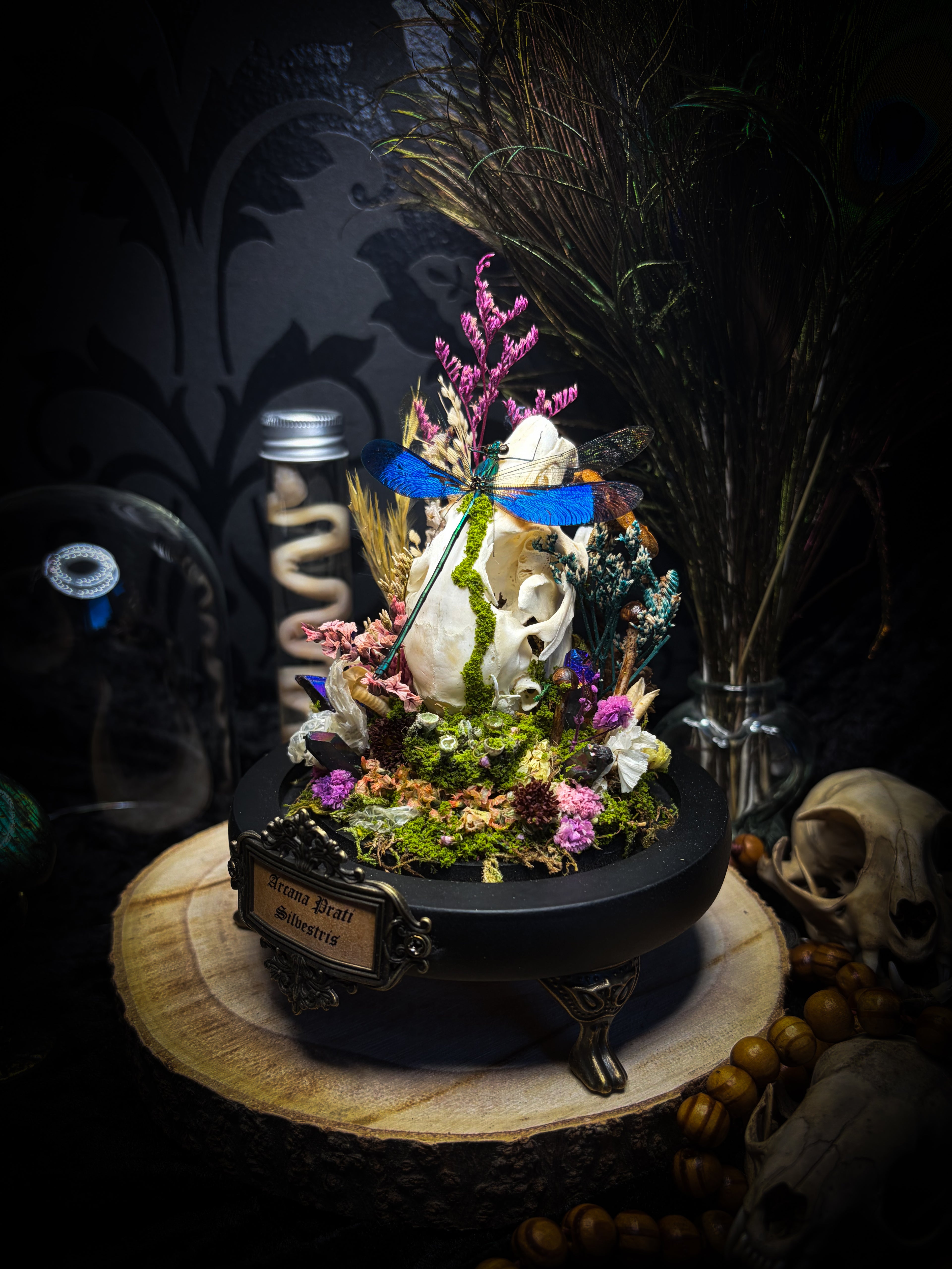 Arcana Prati Silvestris | handmade woodland glass dome with real rabbit skull, Calopteryx splendens dragonfly, snake skin, moss, lichen, dried flowers, dew-drop mushrooms and wooden base | Morbid Oddities
