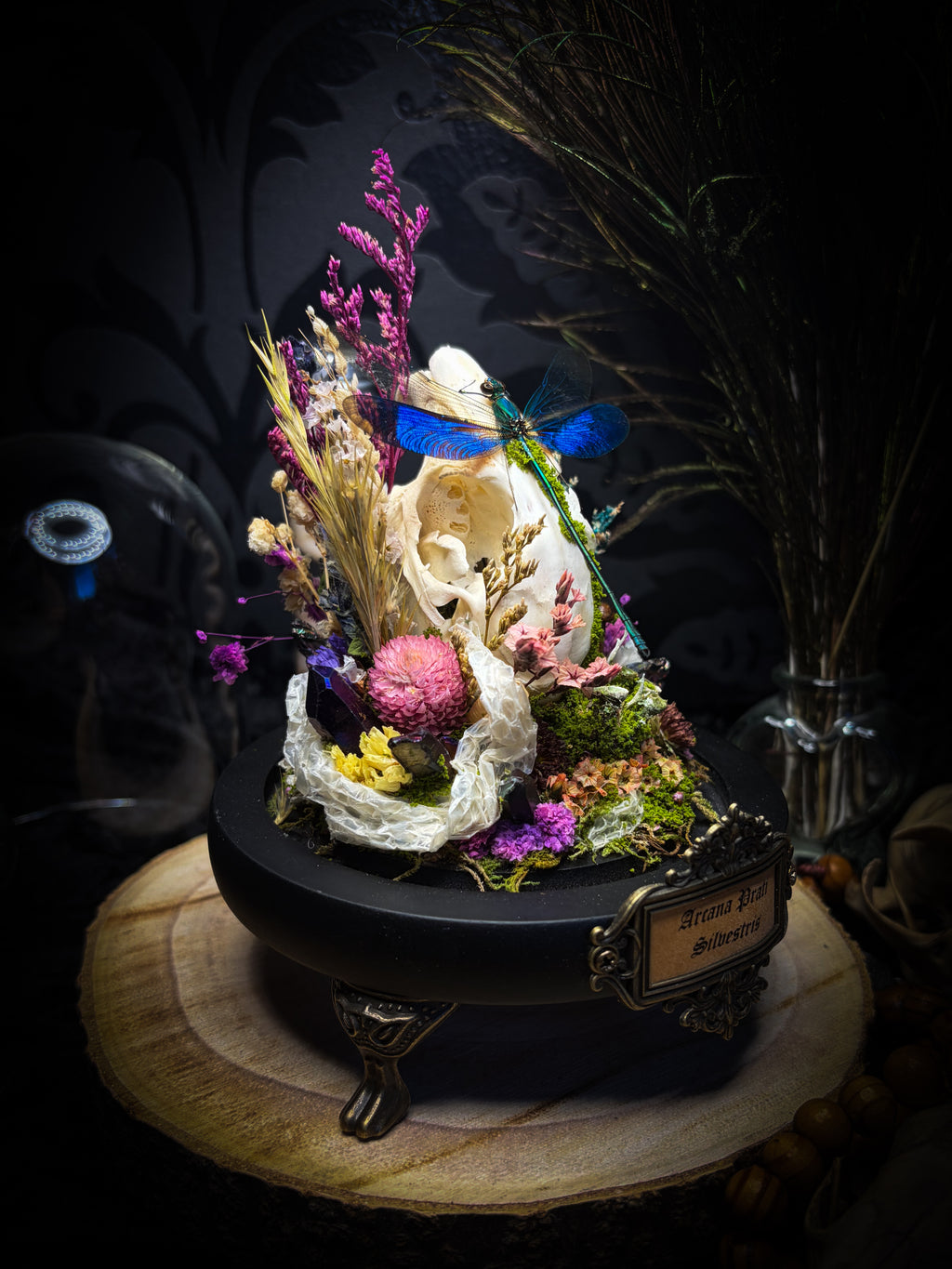 Arcana Prati Silvestris | handmade woodland glass dome with real rabbit skull, Calopteryx splendens dragonfly, snake skin, moss, lichen, dried flowers, dew-drop mushrooms and wooden base | Morbid Oddities
