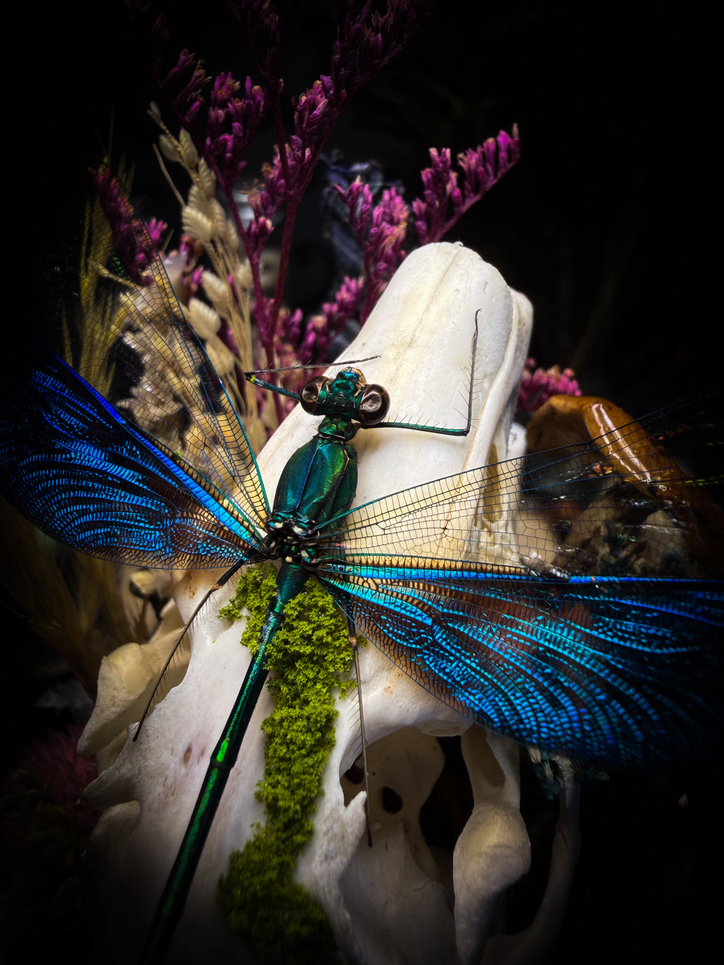 Arcana Prati Silvestris | handmade woodland glass dome with real rabbit skull, Calopteryx splendens dragonfly, snake skin, moss, lichen, dried flowers, dew-drop mushrooms and wooden base | Morbid Oddities
