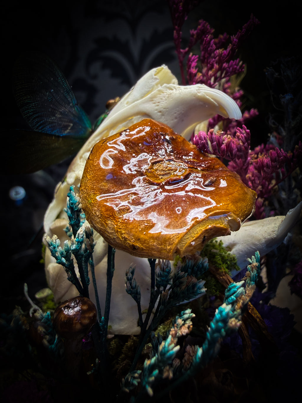 Arcana Prati Silvestris | handmade woodland glass dome with real rabbit skull, Calopteryx splendens dragonfly, snake skin, moss, lichen, dried flowers, dew-drop mushrooms and wooden base | Morbid Oddities
