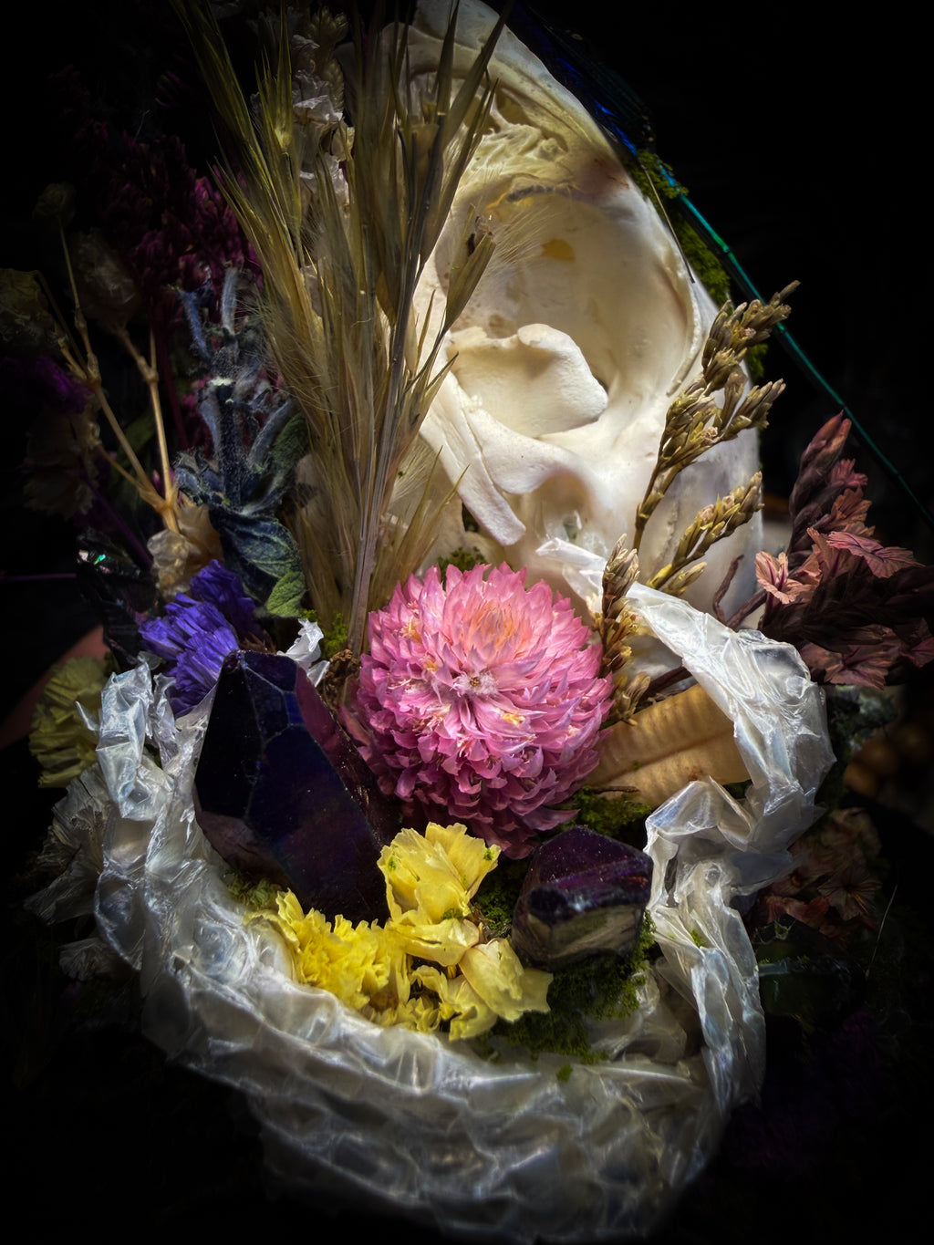 Arcana Prati Silvestris | handmade woodland glass dome with real rabbit skull, Calopteryx splendens dragonfly, snake skin, moss, lichen, dried flowers, dew-drop mushrooms and wooden base | Morbid Oddities

