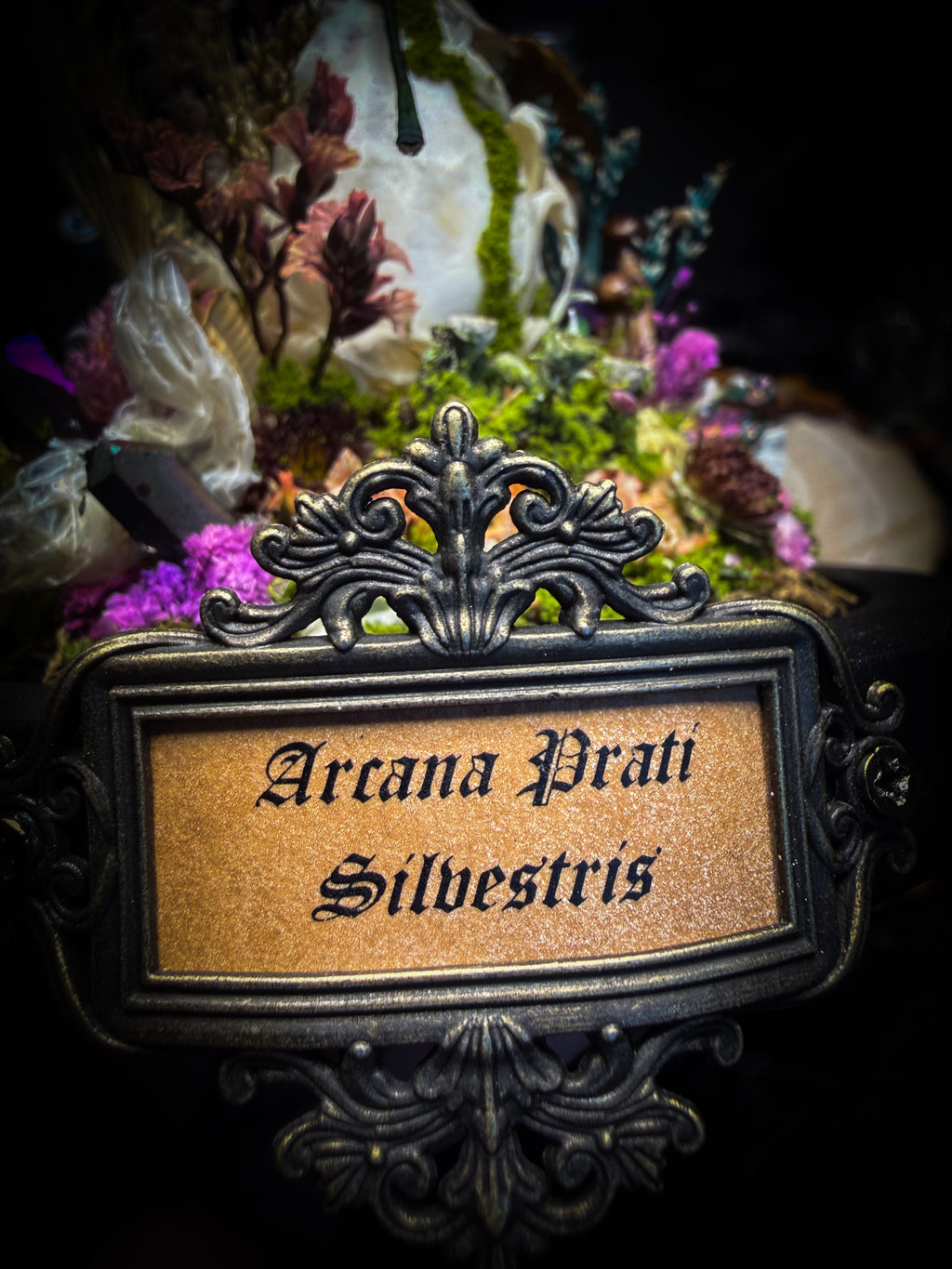 Arcana Prati Silvestris | handmade woodland glass dome with real rabbit skull, Calopteryx splendens dragonfly, snake skin, moss, lichen, dried flowers, dew-drop mushrooms and wooden base | Morbid Oddities
