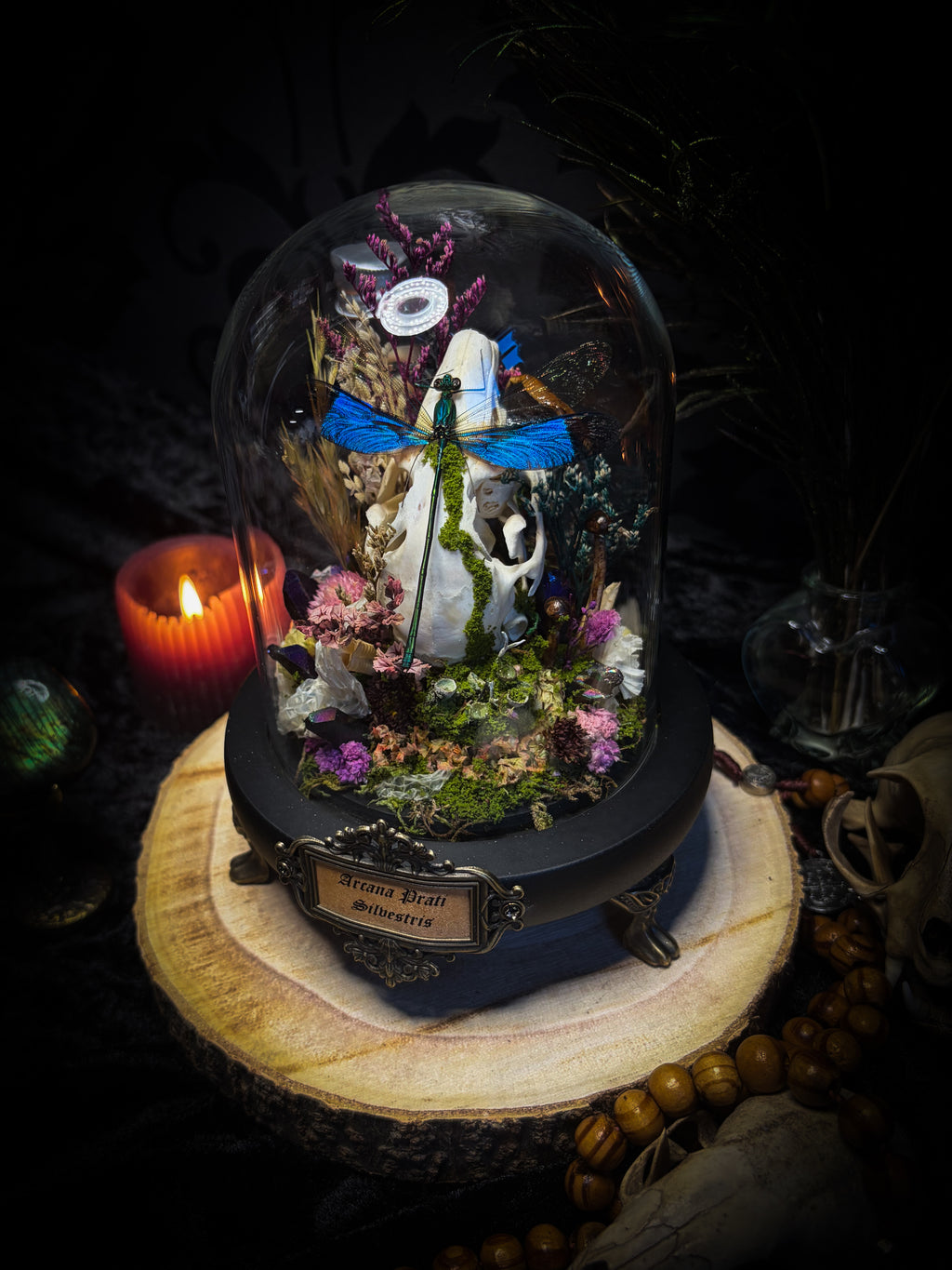Arcana Prati Silvestris | handmade woodland glass dome with real rabbit skull, Calopteryx splendens dragonfly, snake skin, moss, lichen, dried flowers, dew-drop mushrooms and wooden base | Morbid Oddities
