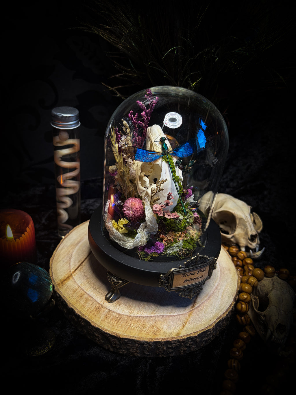 Arcana Prati Silvestris | handmade woodland glass dome with real rabbit skull, Calopteryx splendens dragonfly, snake skin, moss, lichen, dried flowers, dew-drop mushrooms and wooden base | Morbid Oddities
