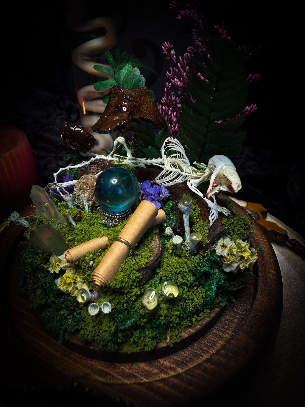Ad Semitam Magicam | handmade woodland glass dome with real shrew skeleton with burgundy-stained teeth, magical scroll, crystal ball, moss, lichen, dried flowers, resin mushrooms and fern on hand-painted wooden base | Morbid Oddities
