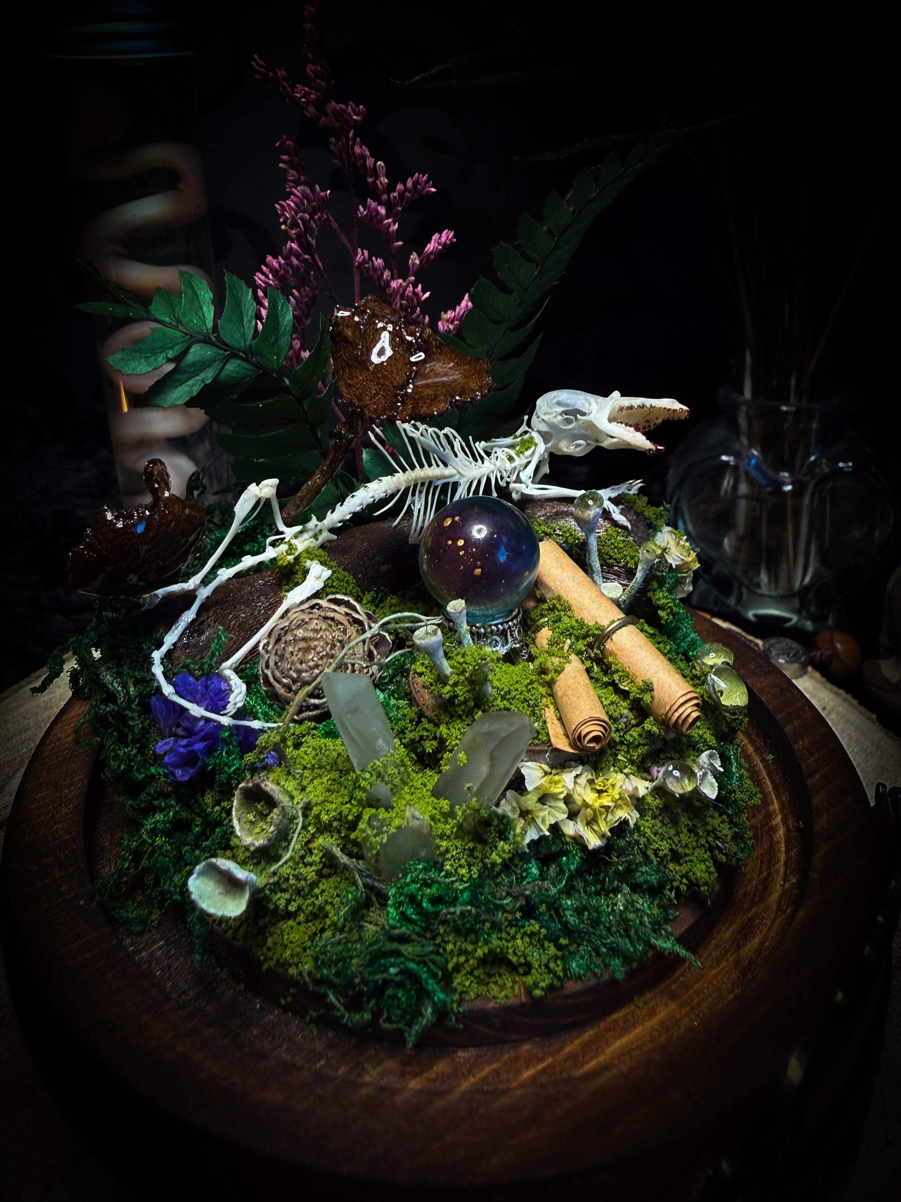 Ad Semitam Magicam | handmade woodland glass dome with real shrew skeleton with burgundy-stained teeth, magical scroll, crystal ball, moss, lichen, dried flowers, resin mushrooms and fern on hand-painted wooden base | Morbid Oddities
