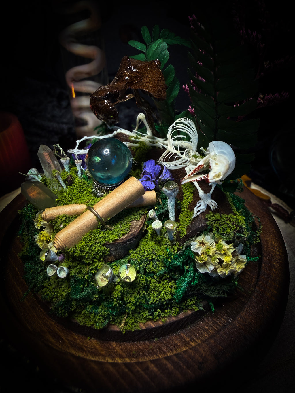 Ad Semitam Magicam | handmade woodland glass dome with real shrew skeleton with burgundy-stained teeth, magical scroll, crystal ball, moss, lichen, dried flowers, resin mushrooms and fern on hand-painted wooden base | Morbid Oddities
