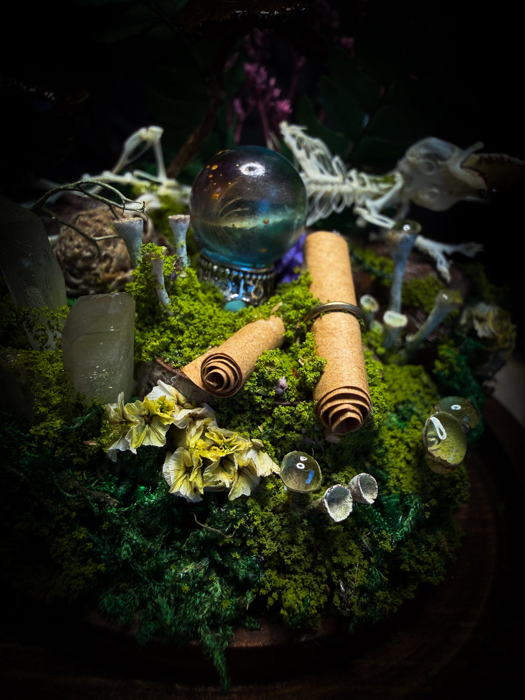 Ad Semitam Magicam | handmade woodland glass dome with real shrew skeleton with burgundy-stained teeth, magical scroll, crystal ball, moss, lichen, dried flowers, resin mushrooms and fern on hand-painted wooden base | Morbid Oddities
