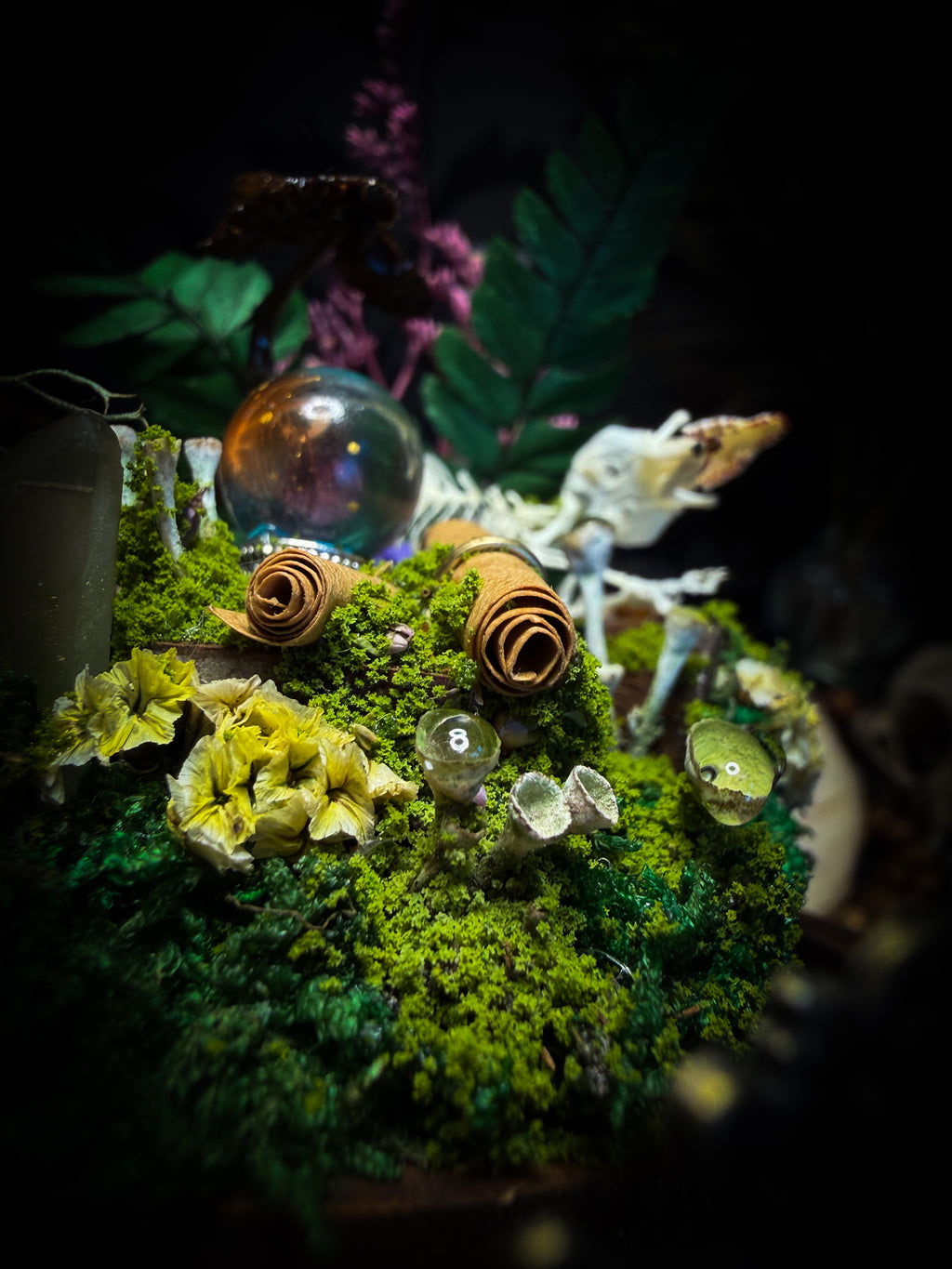 Ad Semitam Magicam | handmade woodland glass dome with real shrew skeleton with burgundy-stained teeth, magical scroll, crystal ball, moss, lichen, dried flowers, resin mushrooms and fern on hand-painted wooden base | Morbid Oddities

