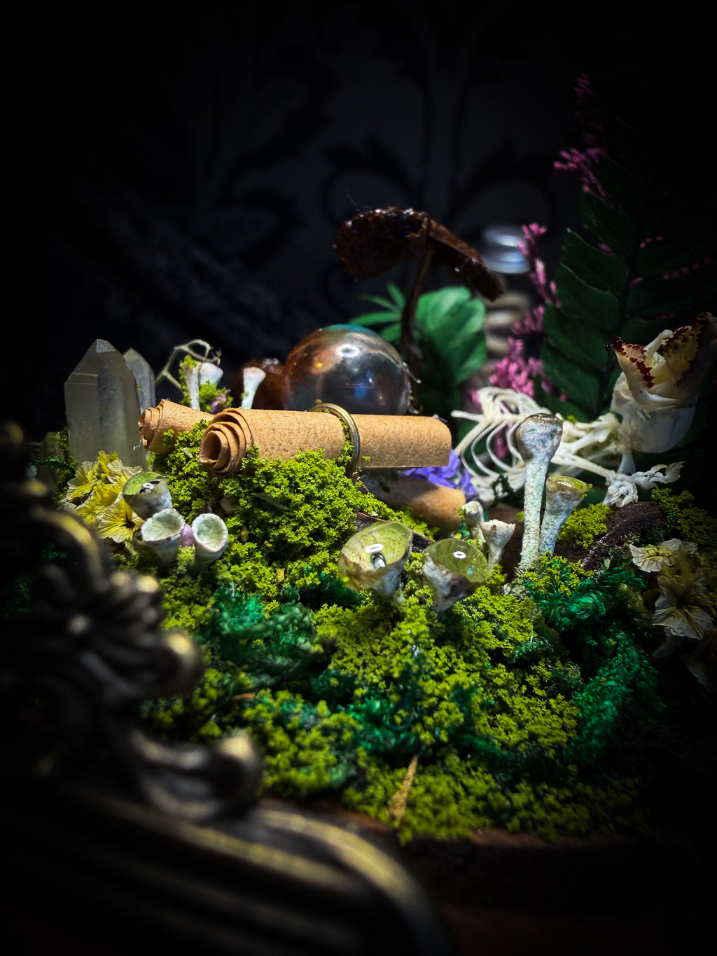 Ad Semitam Magicam | handmade woodland glass dome with real shrew skeleton with burgundy-stained teeth, magical scroll, crystal ball, moss, lichen, dried flowers, resin mushrooms and fern on hand-painted wooden base | Morbid Oddities
