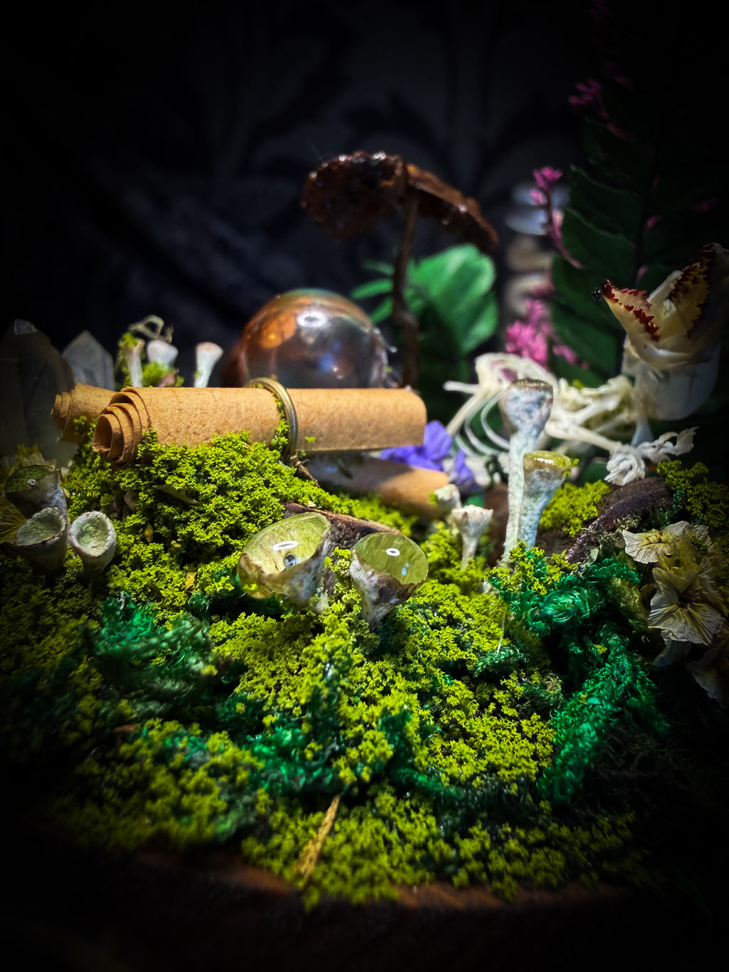 Ad Semitam Magicam | handmade woodland glass dome with real shrew skeleton with burgundy-stained teeth, magical scroll, crystal ball, moss, lichen, dried flowers, resin mushrooms and fern on hand-painted wooden base | Morbid Oddities
