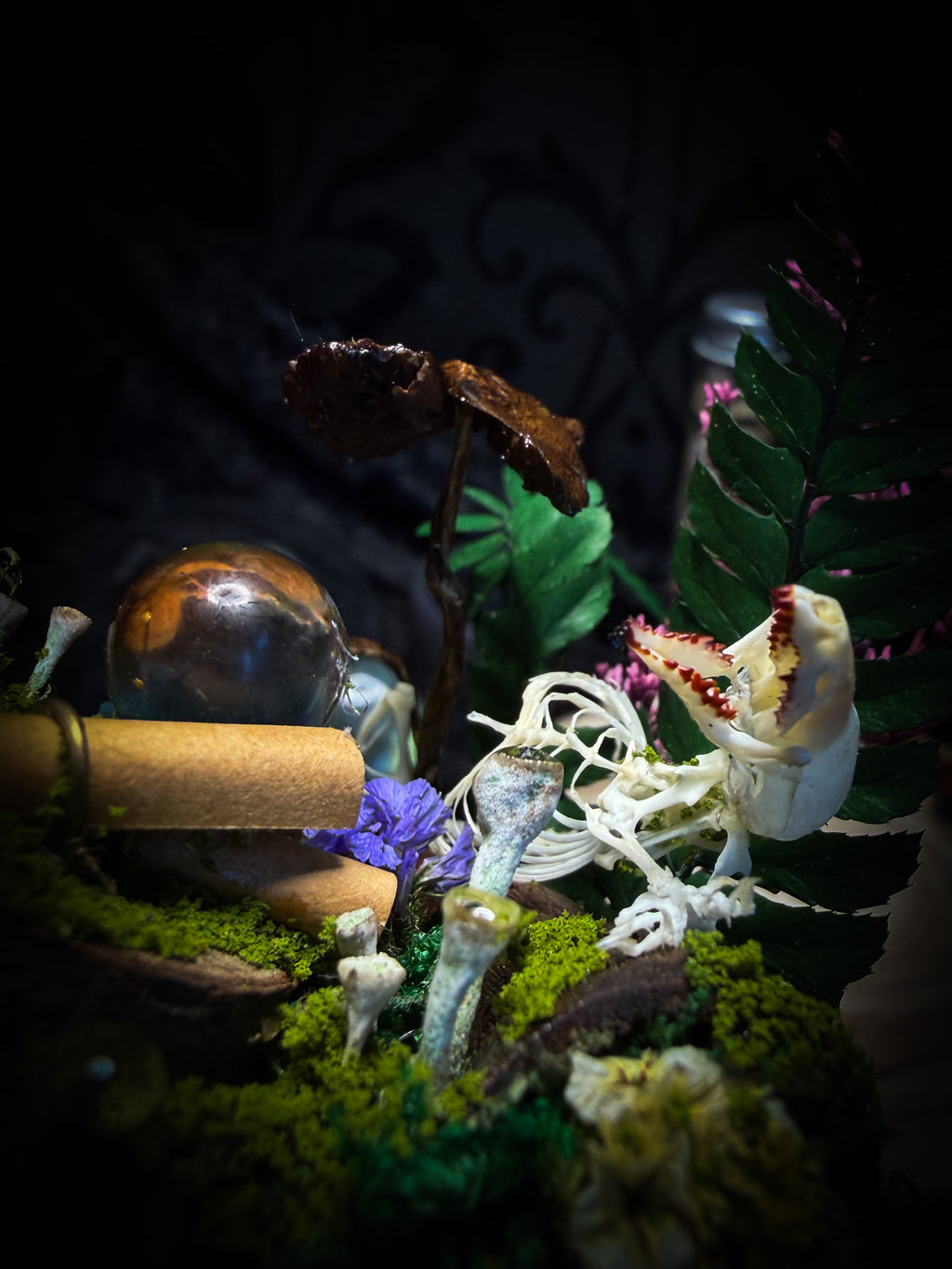 Ad Semitam Magicam | handmade woodland glass dome with real shrew skeleton with burgundy-stained teeth, magical scroll, crystal ball, moss, lichen, dried flowers, resin mushrooms and fern on hand-painted wooden base | Morbid Oddities
