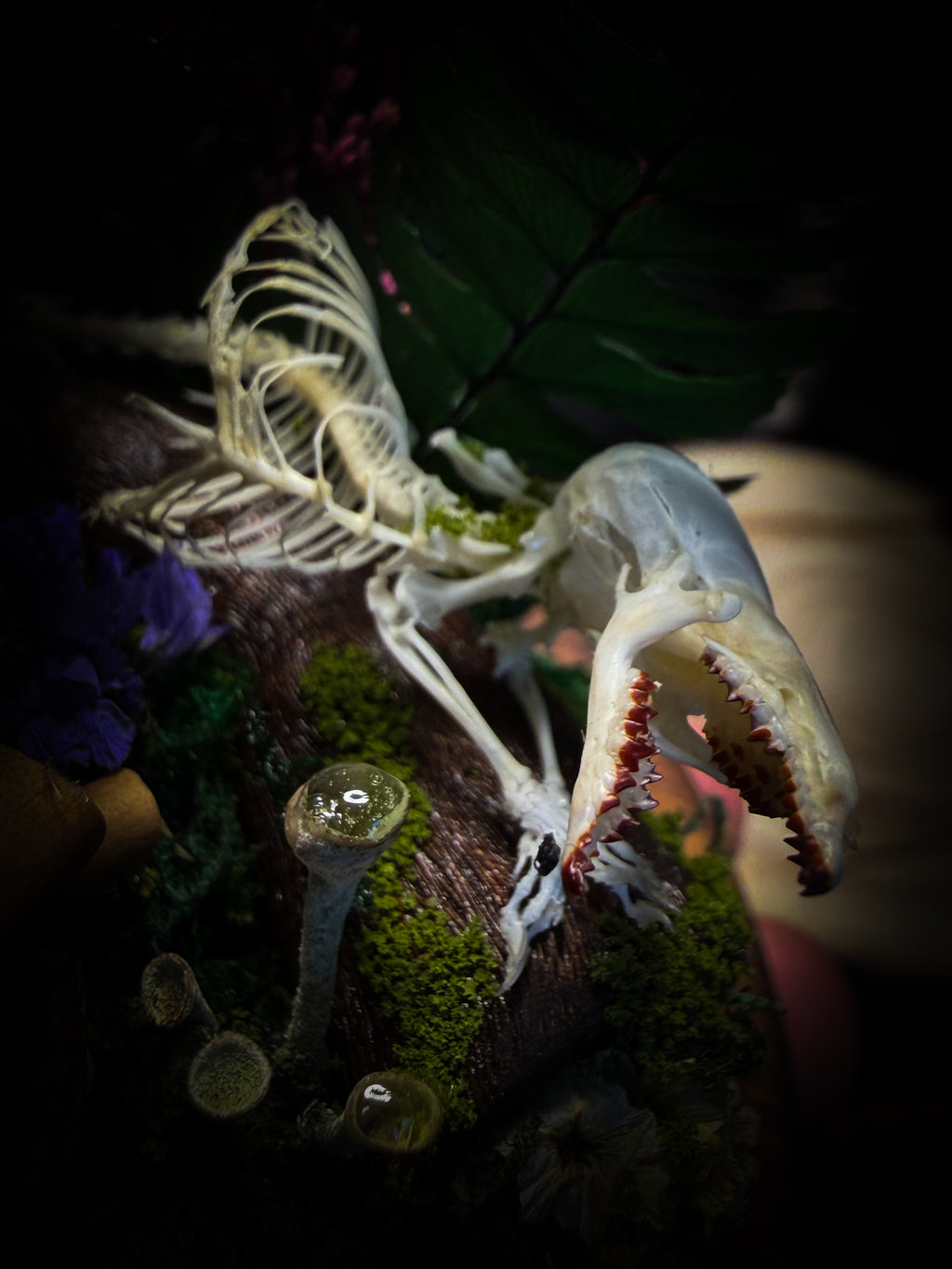 Ad Semitam Magicam | handmade woodland glass dome with real shrew skeleton with burgundy-stained teeth, magical scroll, crystal ball, moss, lichen, dried flowers, resin mushrooms and fern on hand-painted wooden base | Morbid Oddities
