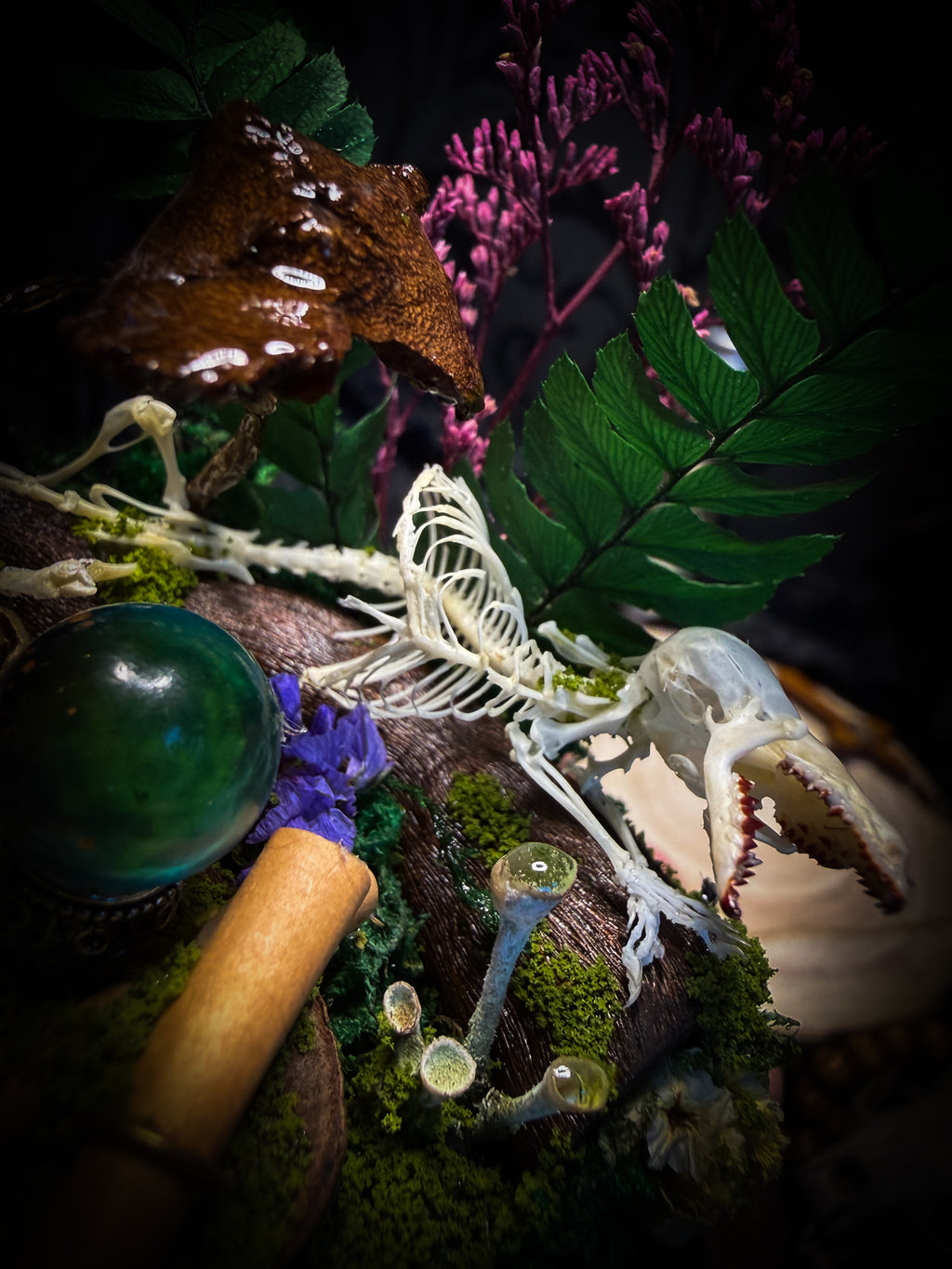Ad Semitam Magicam | handmade woodland glass dome with real shrew skeleton with burgundy-stained teeth, magical scroll, crystal ball, moss, lichen, dried flowers, resin mushrooms and fern on hand-painted wooden base | Morbid Oddities
