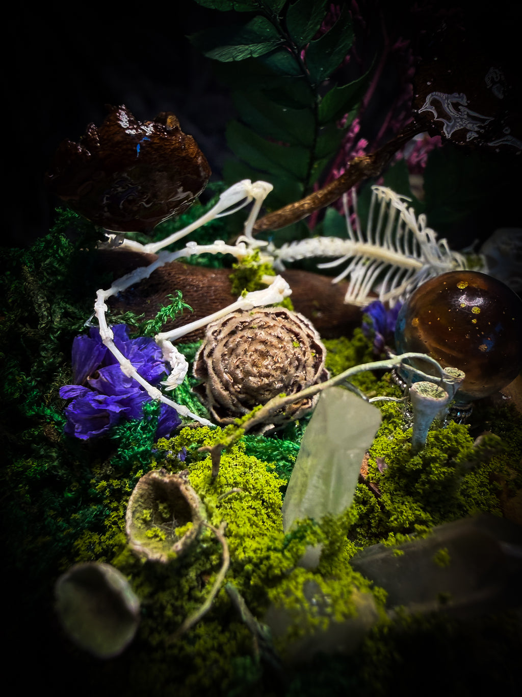 Ad Semitam Magicam | handmade woodland glass dome with real shrew skeleton with burgundy-stained teeth, magical scroll, crystal ball, moss, lichen, dried flowers, resin mushrooms and fern on hand-painted wooden base | Morbid Oddities
