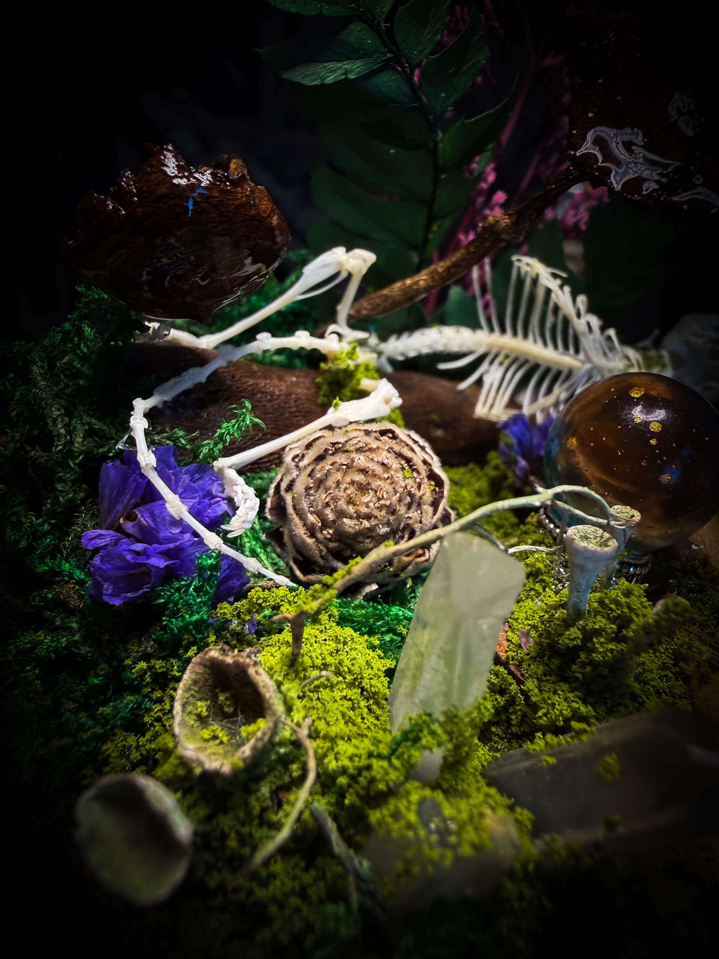 Ad Semitam Magicam | handmade woodland glass dome with real shrew skeleton with burgundy-stained teeth, magical scroll, crystal ball, moss, lichen, dried flowers, resin mushrooms and fern on hand-painted wooden base | Morbid Oddities
