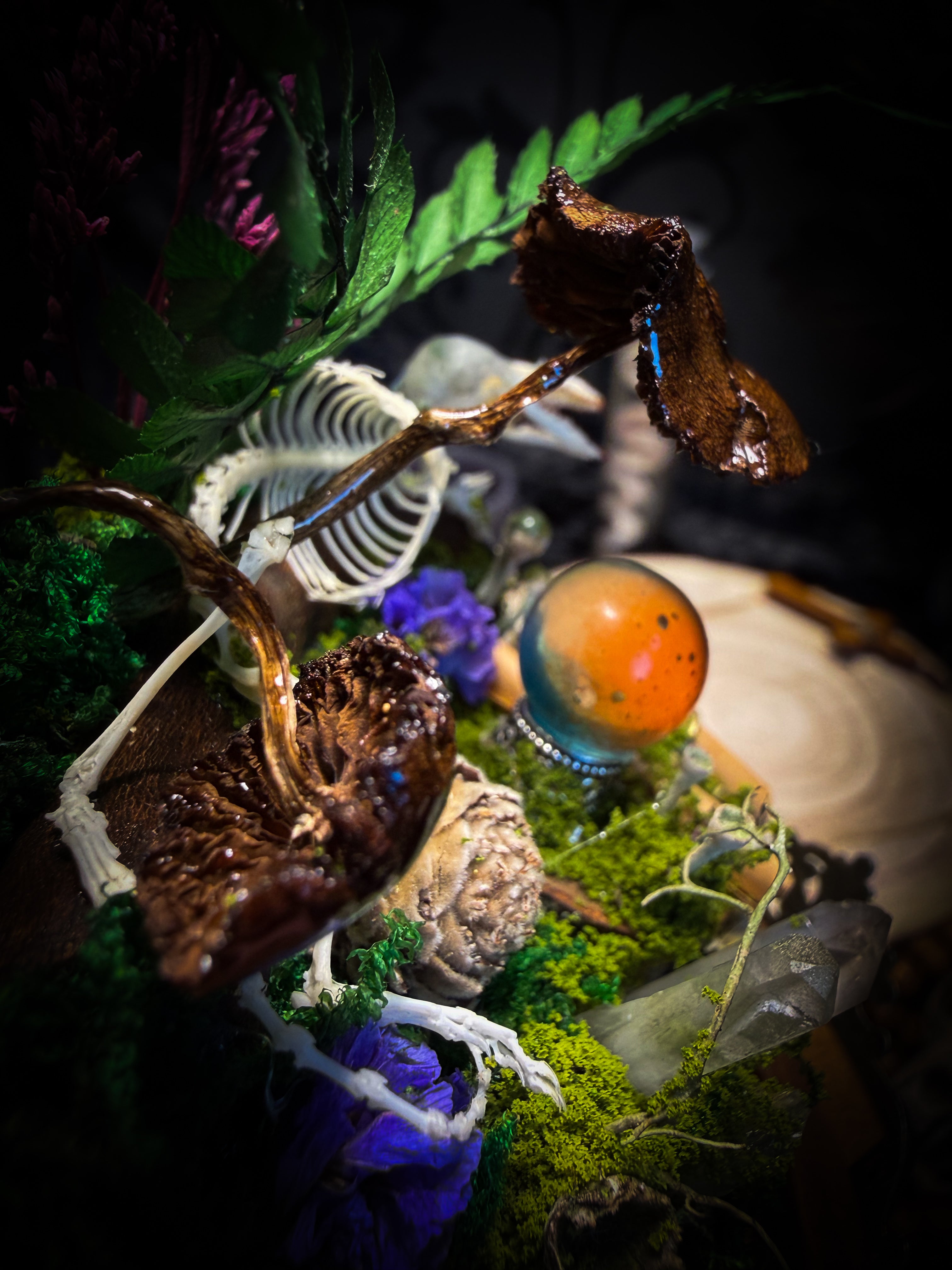 Ad Semitam Magicam | handmade woodland glass dome with real shrew skeleton with burgundy-stained teeth, magical scroll, crystal ball, moss, lichen, dried flowers, resin mushrooms and fern on hand-painted wooden base | Morbid Oddities
