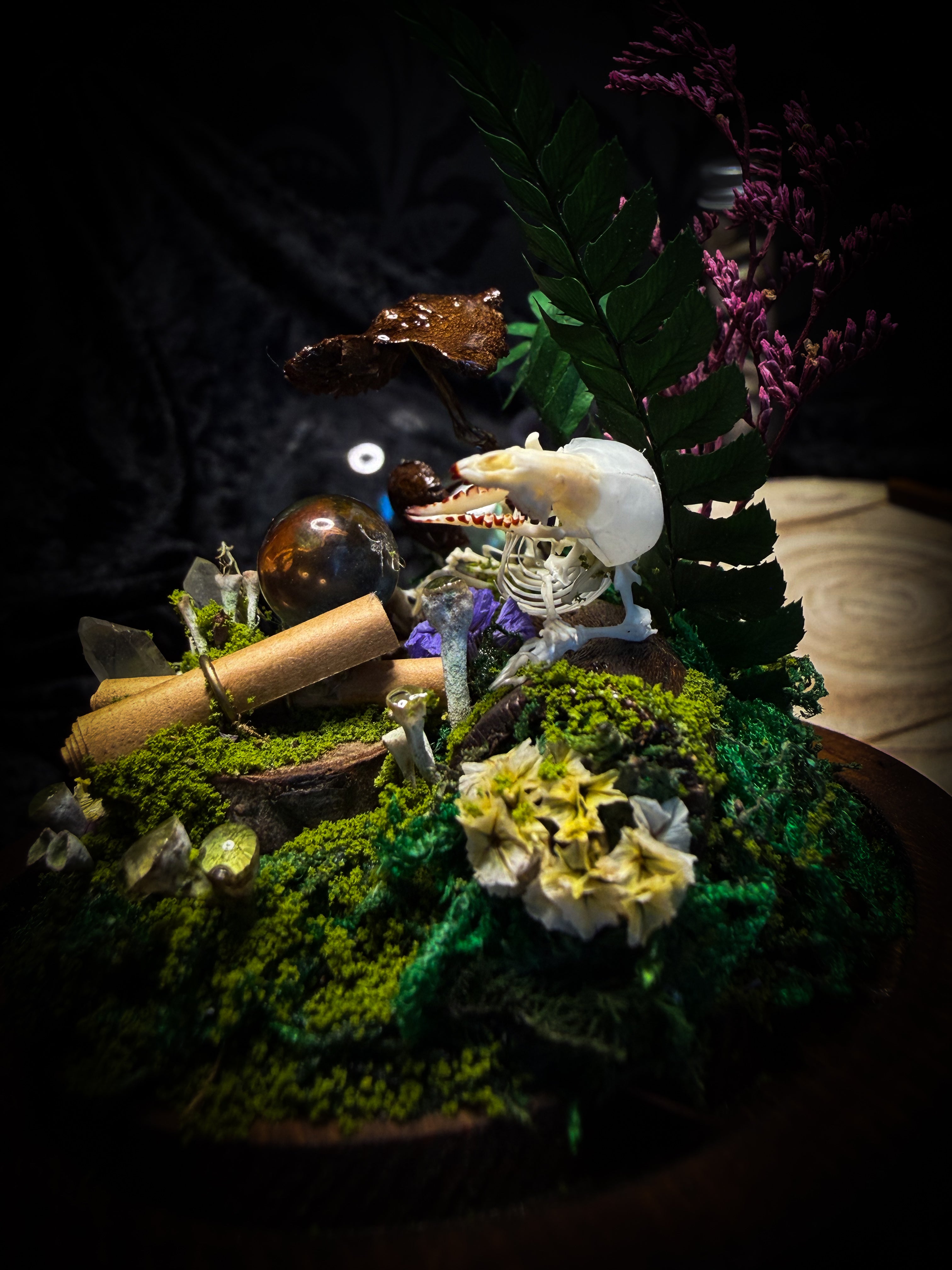 Ad Semitam Magicam | handmade woodland glass dome with real shrew skeleton with burgundy-stained teeth, magical scroll, crystal ball, moss, lichen, dried flowers, resin mushrooms and fern on hand-painted wooden base | Morbid Oddities
