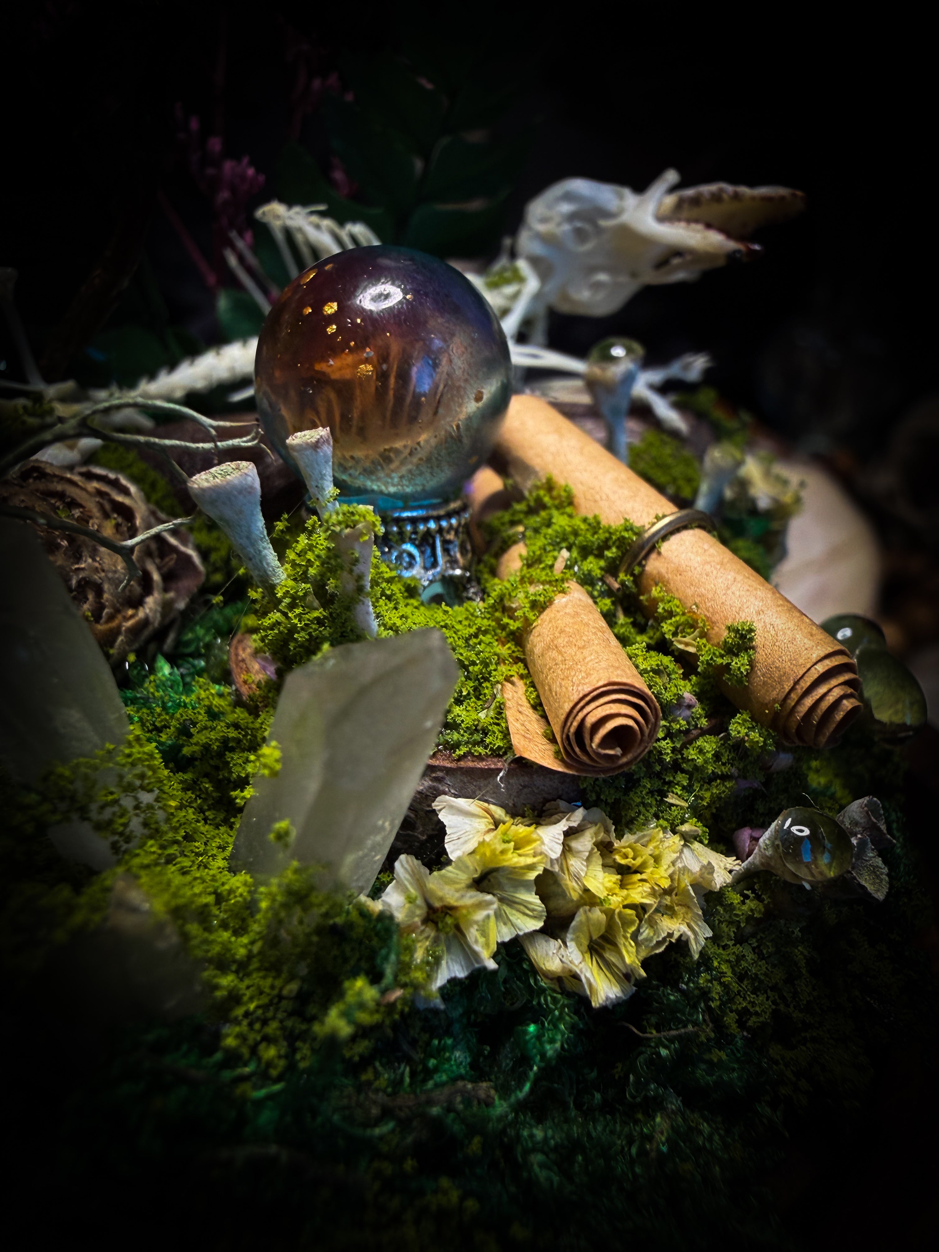 Ad Semitam Magicam | handmade woodland glass dome with real shrew skeleton with burgundy-stained teeth, magical scroll, crystal ball, moss, lichen, dried flowers, resin mushrooms and fern on hand-painted wooden base | Morbid Oddities
