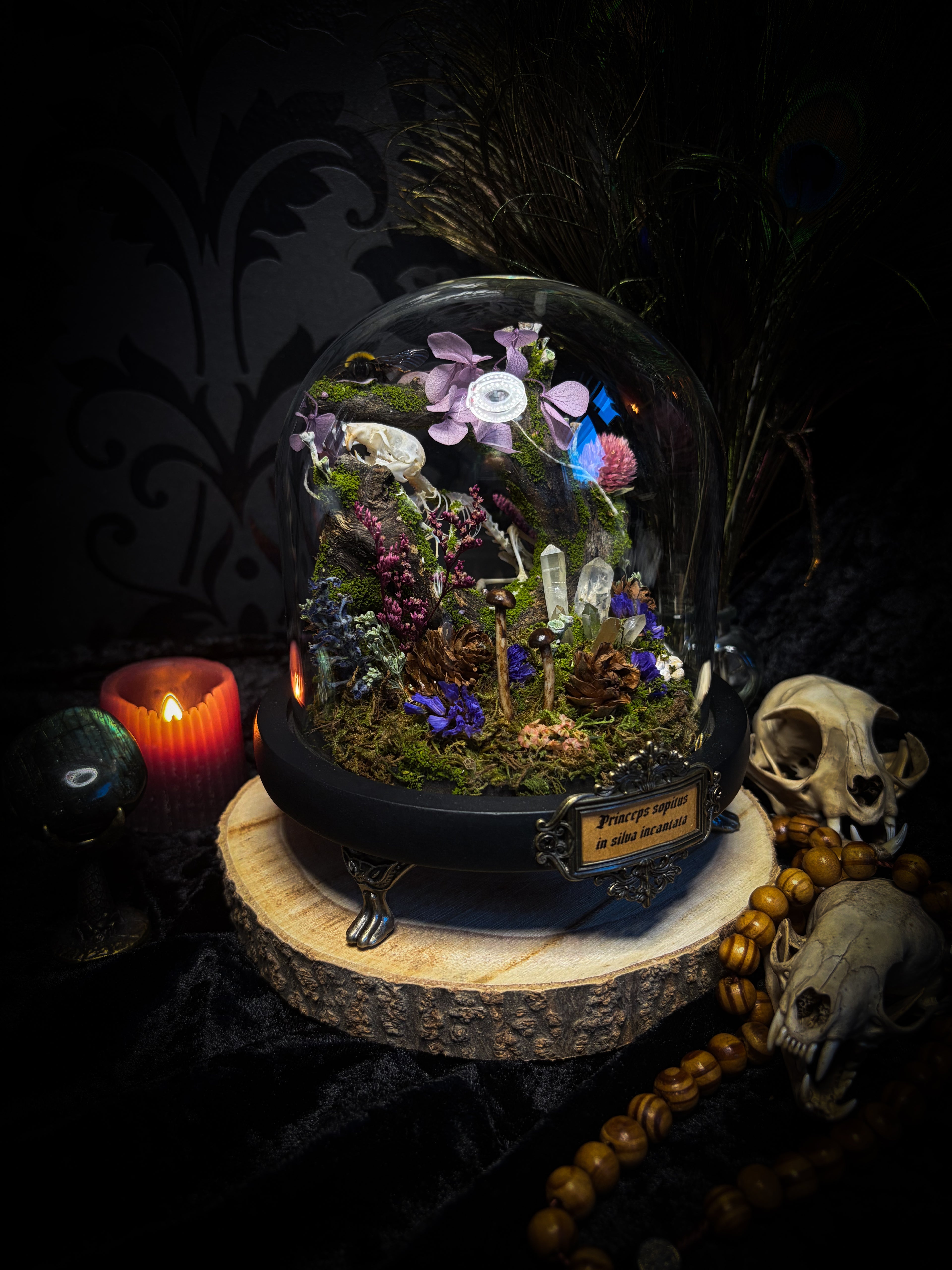 The Bumblebee's Garden | handmade whimsical glass dome with real bumblebee, mouse skeleton, moss, pine cones, mushrooms, pink violet and white dried flowers | Morbid Oddities
