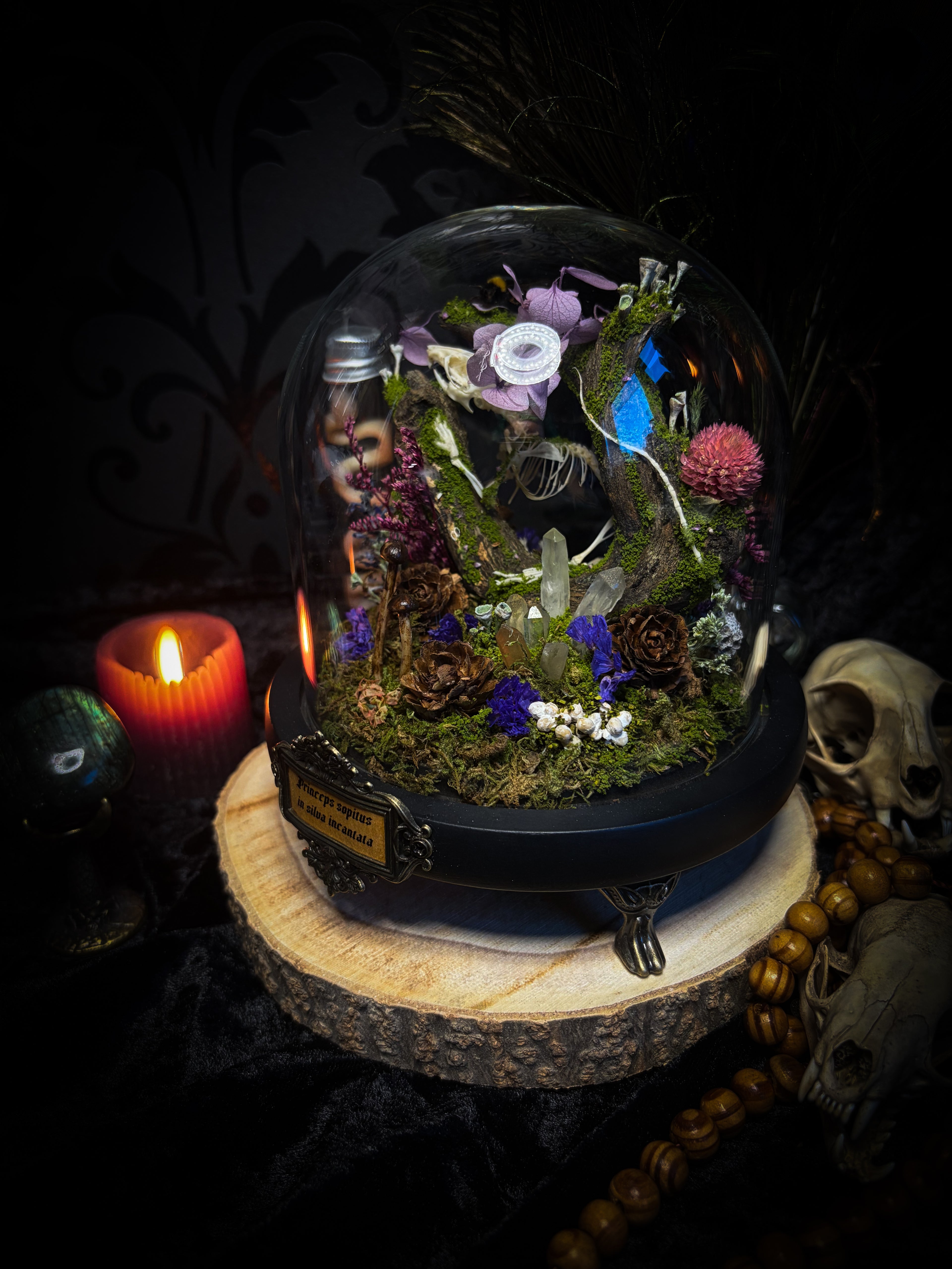 The Bumblebee's Garden | handmade whimsical glass dome with real bumblebee, mouse skeleton, moss, pine cones, mushrooms, pink violet and white dried flowers | Morbid Oddities
