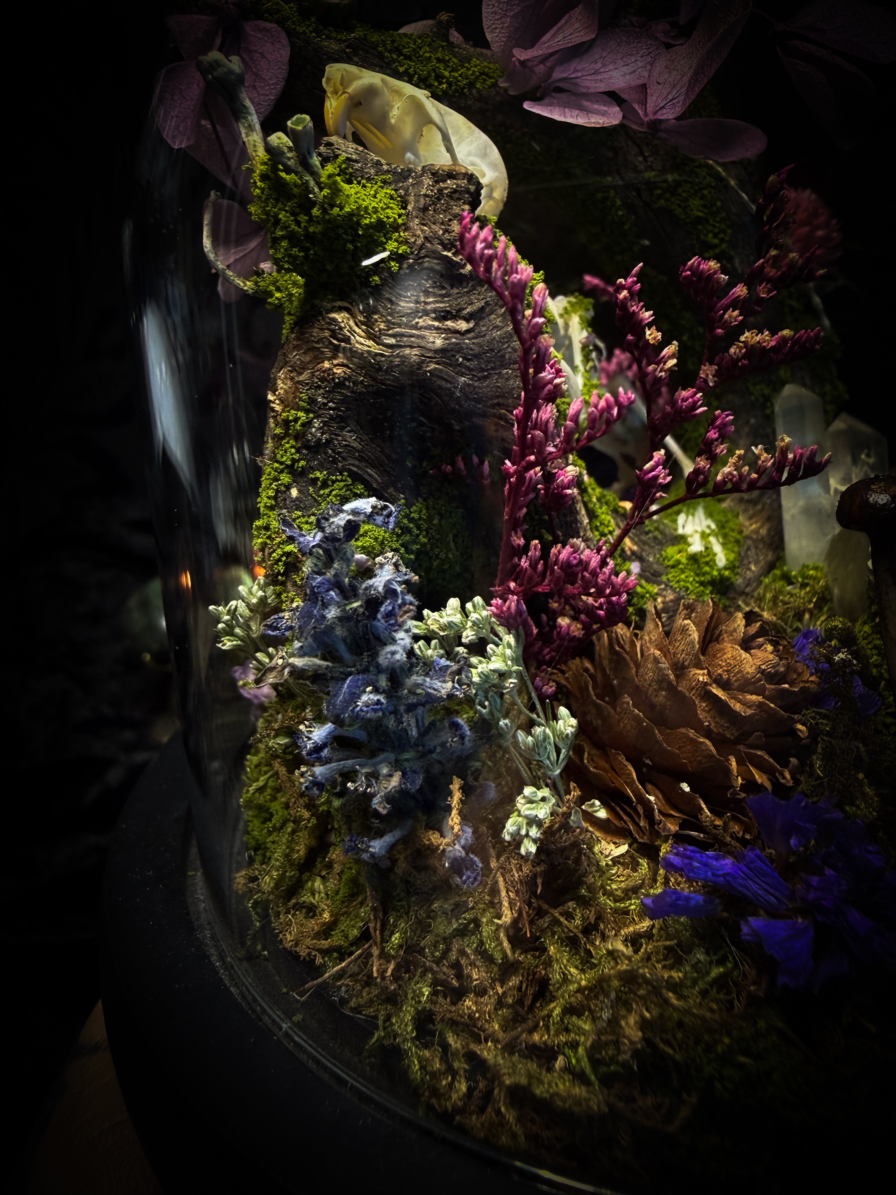 The Bumblebee's Garden | handmade whimsical glass dome with real bumblebee, mouse skeleton, moss, pine cones, mushrooms, pink violet and white dried flowers | Morbid Oddities