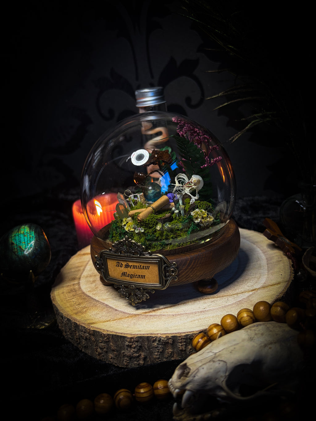 Ad Semitam Magicam | handmade woodland glass dome with real shrew skeleton with burgundy-stained teeth, magical scroll, crystal ball, moss, lichen, dried flowers, resin mushrooms and fern on hand-painted wooden base | Morbid Oddities
