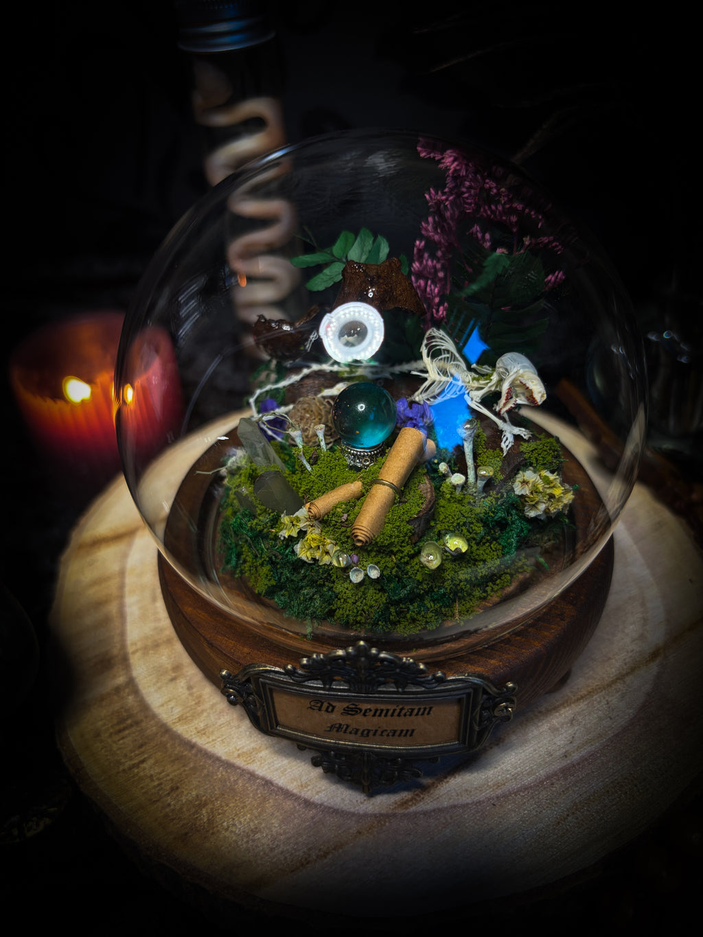 Ad Semitam Magicam | handmade woodland glass dome with real shrew skeleton with burgundy-stained teeth, magical scroll, crystal ball, moss, lichen, dried flowers, resin mushrooms and fern on hand-painted wooden base | Morbid Oddities
