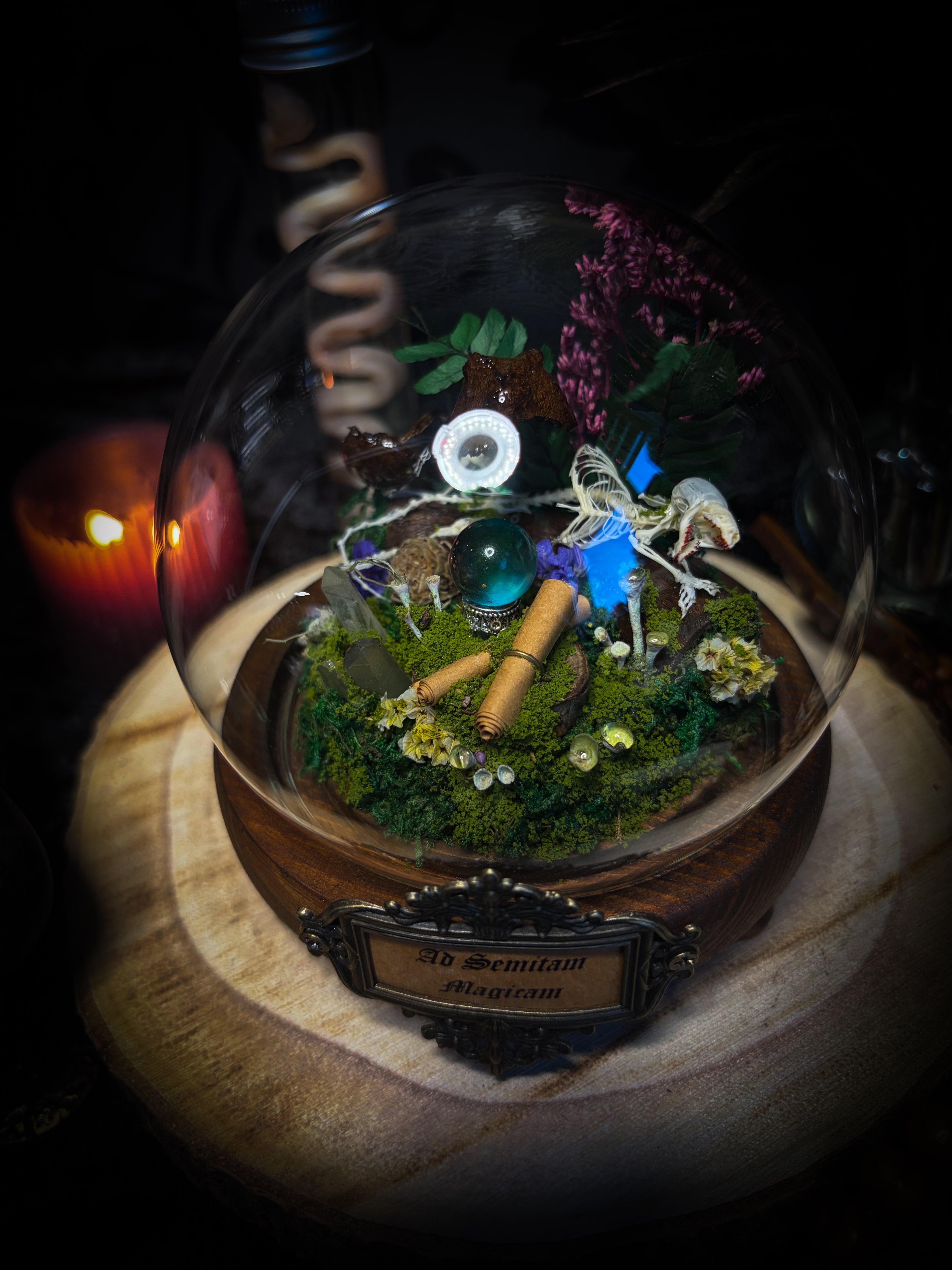 Ad Semitam Magicam | handmade woodland glass dome with real shrew skeleton with burgundy-stained teeth, magical scroll, crystal ball, moss, lichen, dried flowers, resin mushrooms and fern on hand-painted wooden base | Morbid Oddities
