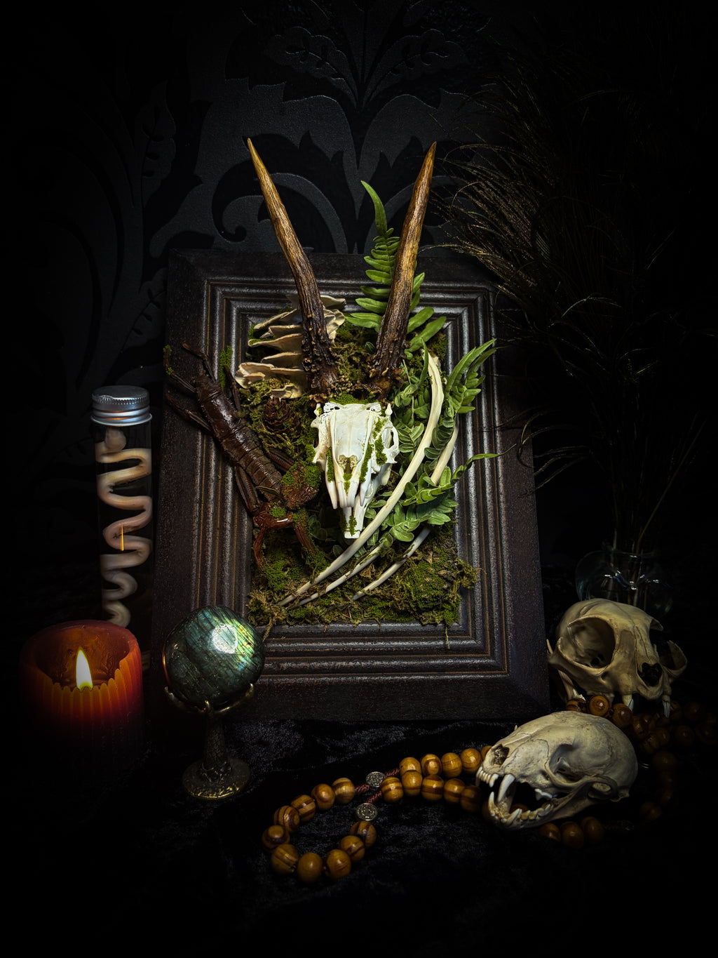The Night Sovereign | handmade gothic relic with hand-cast painted bat skull, gold wings, gold chain and black velvet on ornate black frame | Morbid Oddities
