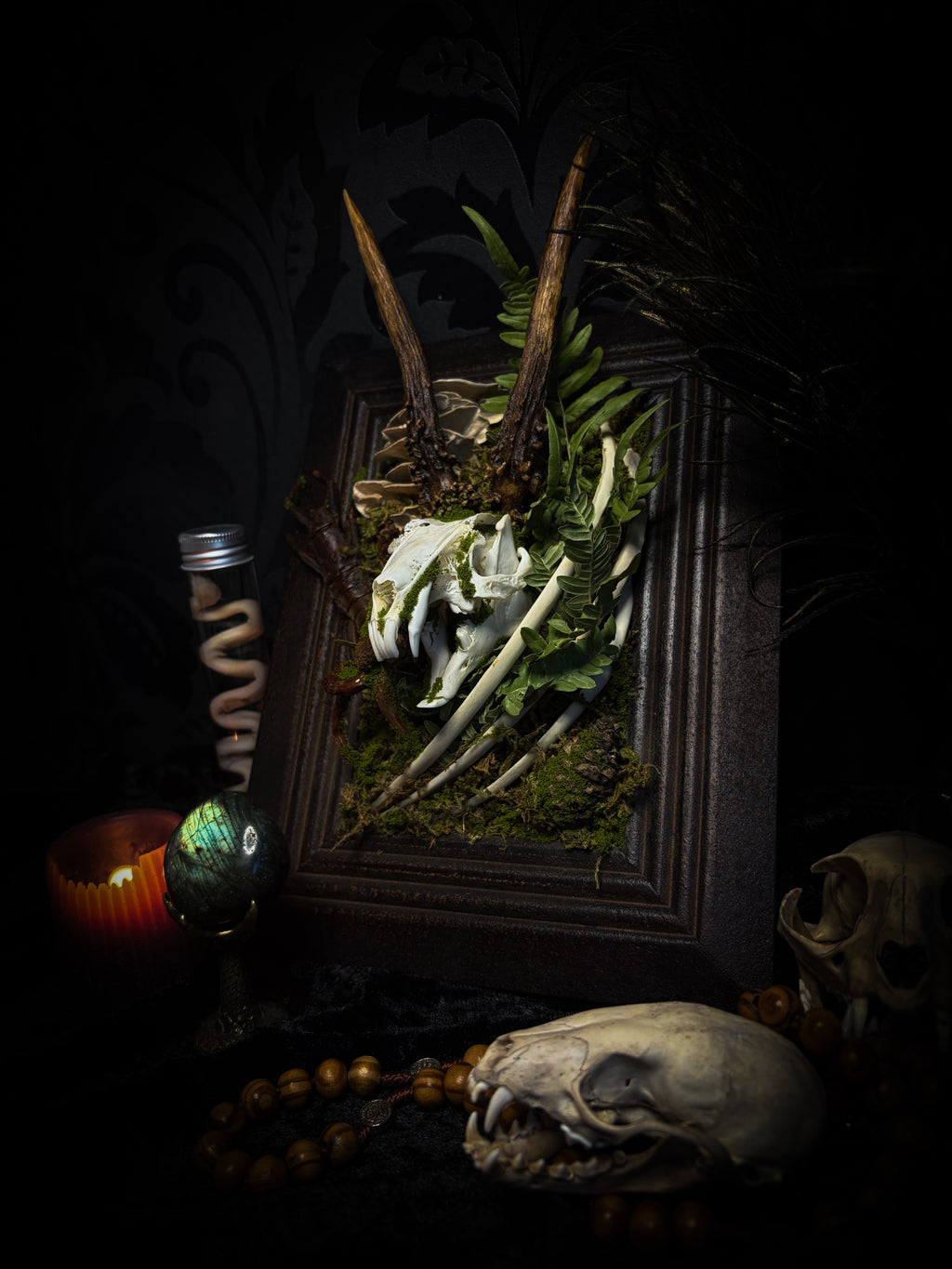 The Night Sovereign | handmade gothic relic with hand-cast painted bat skull, gold wings, gold chain and black velvet on ornate black frame | Morbid Oddities
