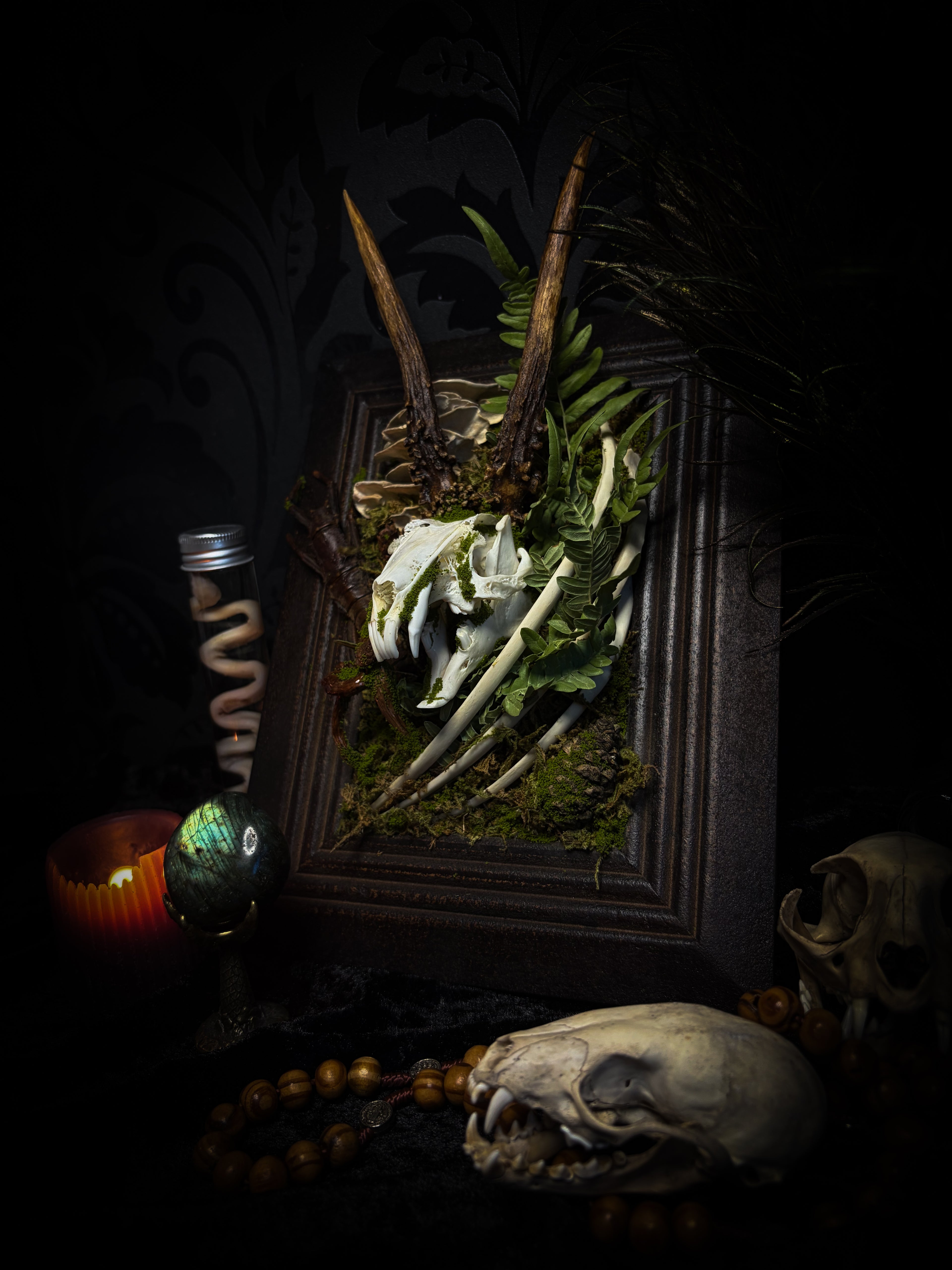 The Night Sovereign | handmade gothic relic with hand-cast painted bat skull, gold wings, gold chain and black velvet on ornate black frame | Morbid Oddities
