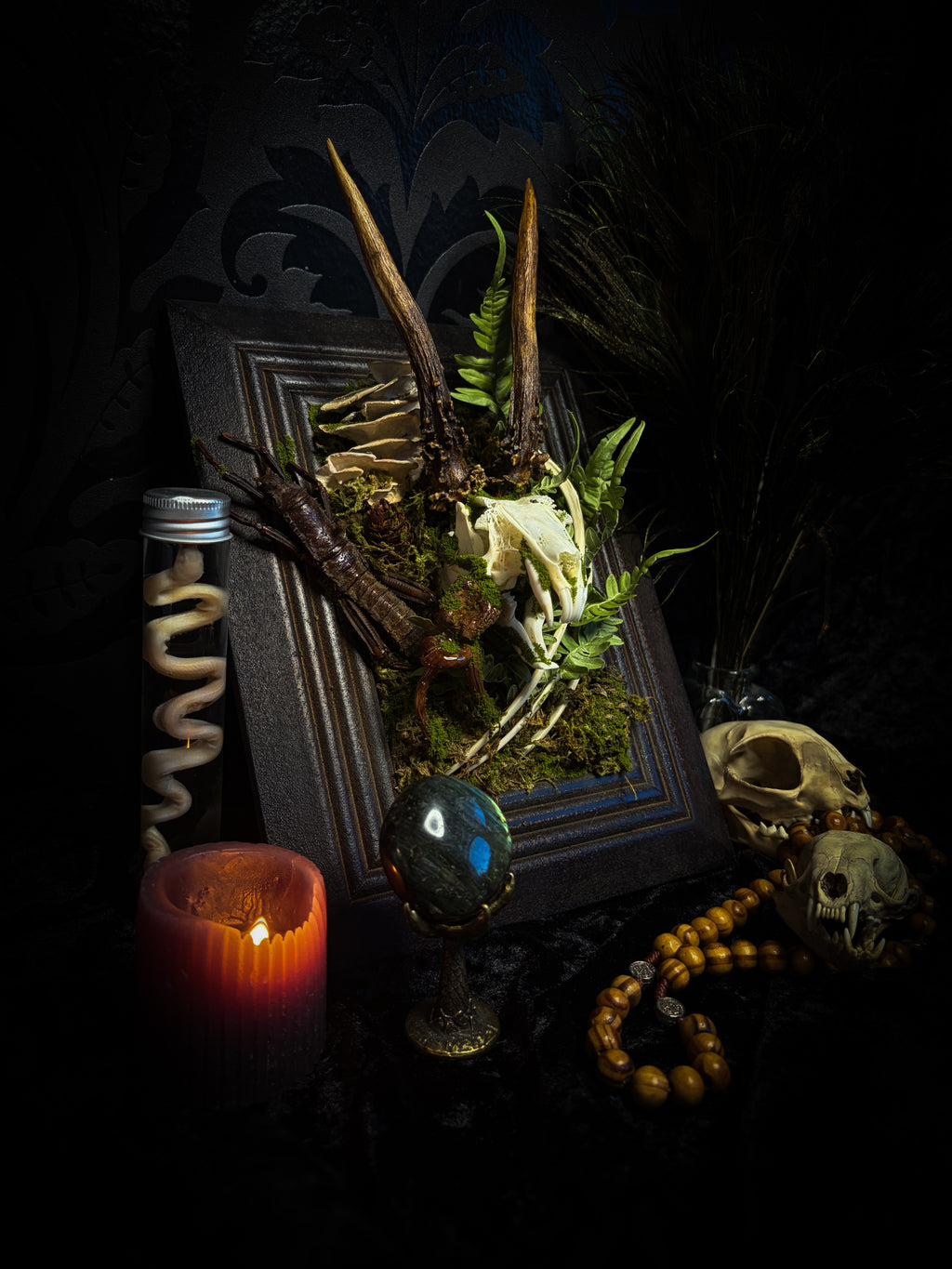 The Night Sovereign | handmade gothic relic with hand-cast painted bat skull, gold wings, gold chain and black velvet on ornate black frame | Morbid Oddities
