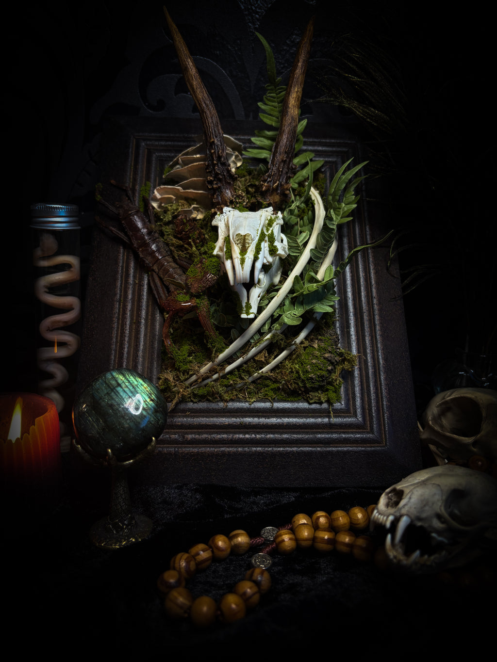 The Night Sovereign | handmade gothic relic with hand-cast painted bat skull, gold wings, gold chain and black velvet on ornate black frame | Morbid Oddities
