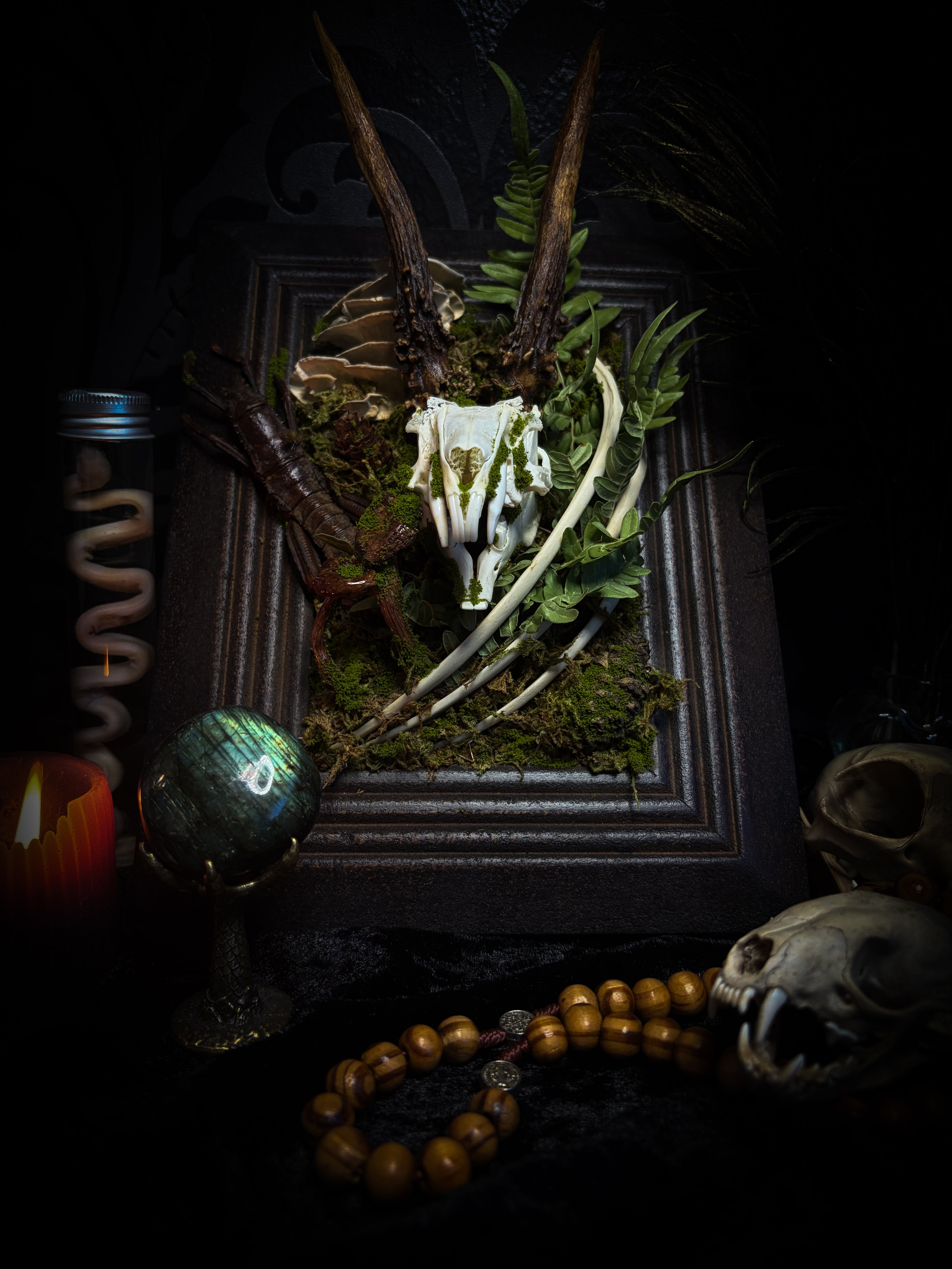 The Night Sovereign | handmade gothic relic with hand-cast painted bat skull, gold wings, gold chain and black velvet on ornate black frame | Morbid Oddities
