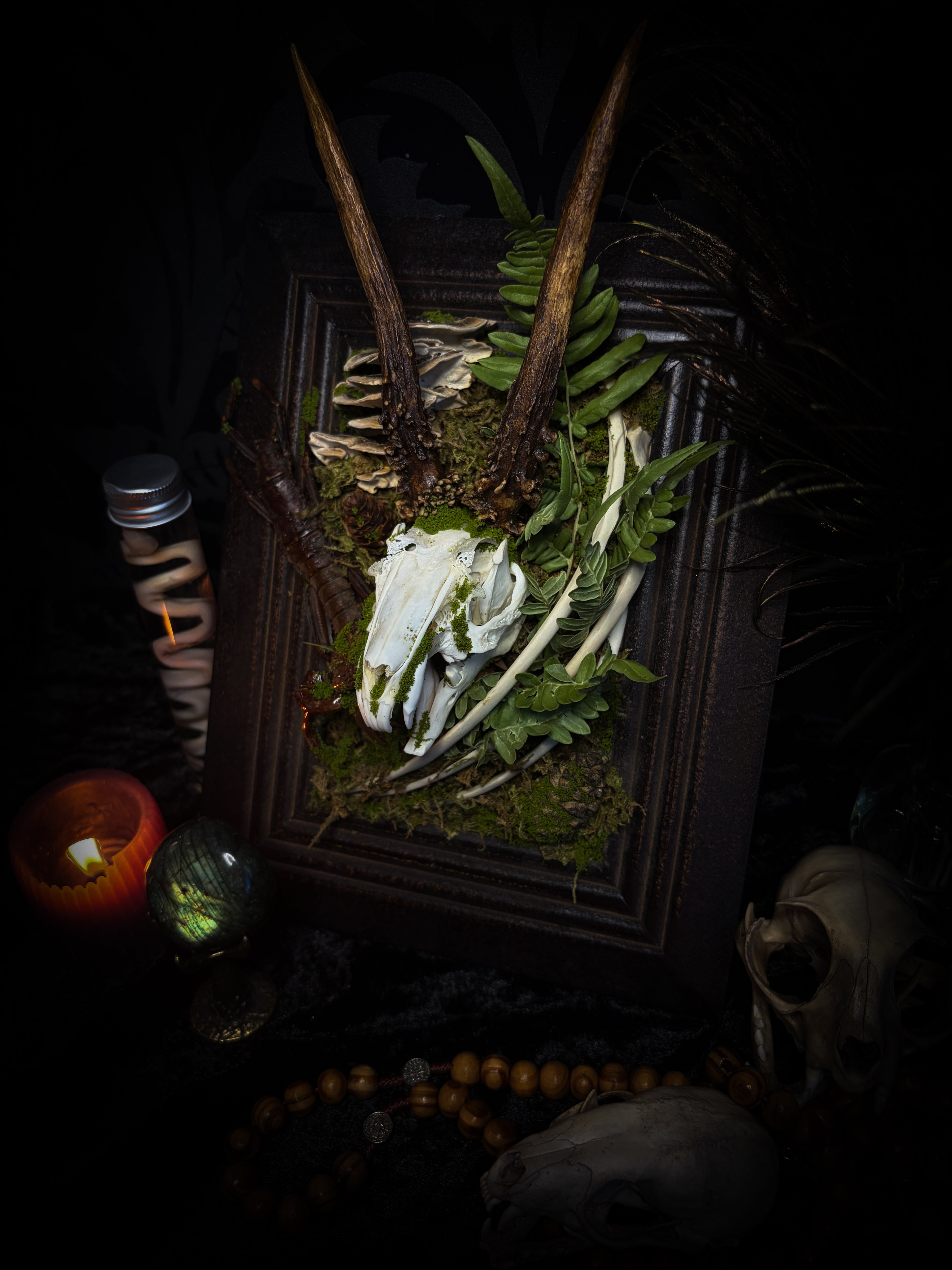 The Night Sovereign | handmade gothic relic with hand-cast painted bat skull, gold wings, gold chain and black velvet on ornate black frame | Morbid Oddities
