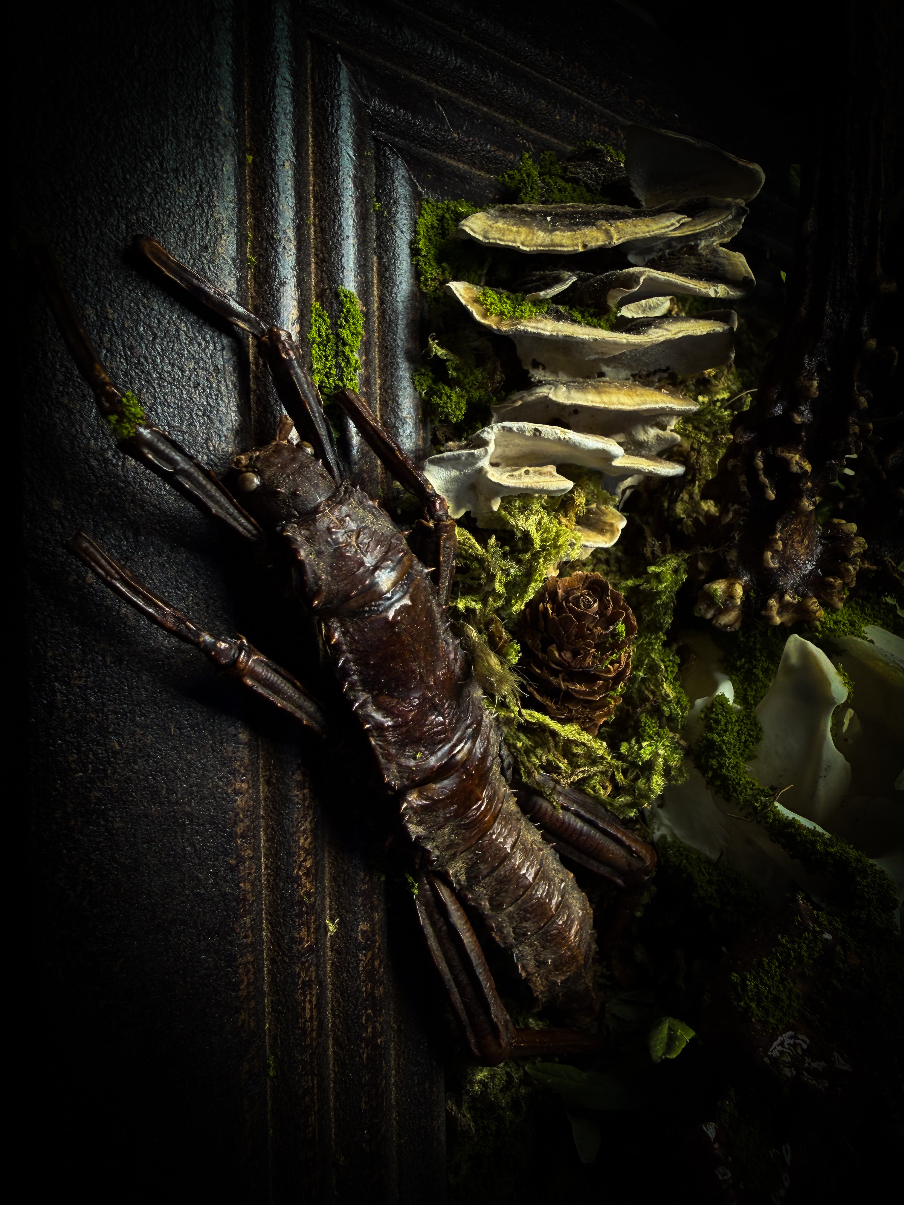 The Night Sovereign | handmade gothic relic with hand-cast painted bat skull, gold wings, gold chain and black velvet on ornate black frame | Morbid Oddities
