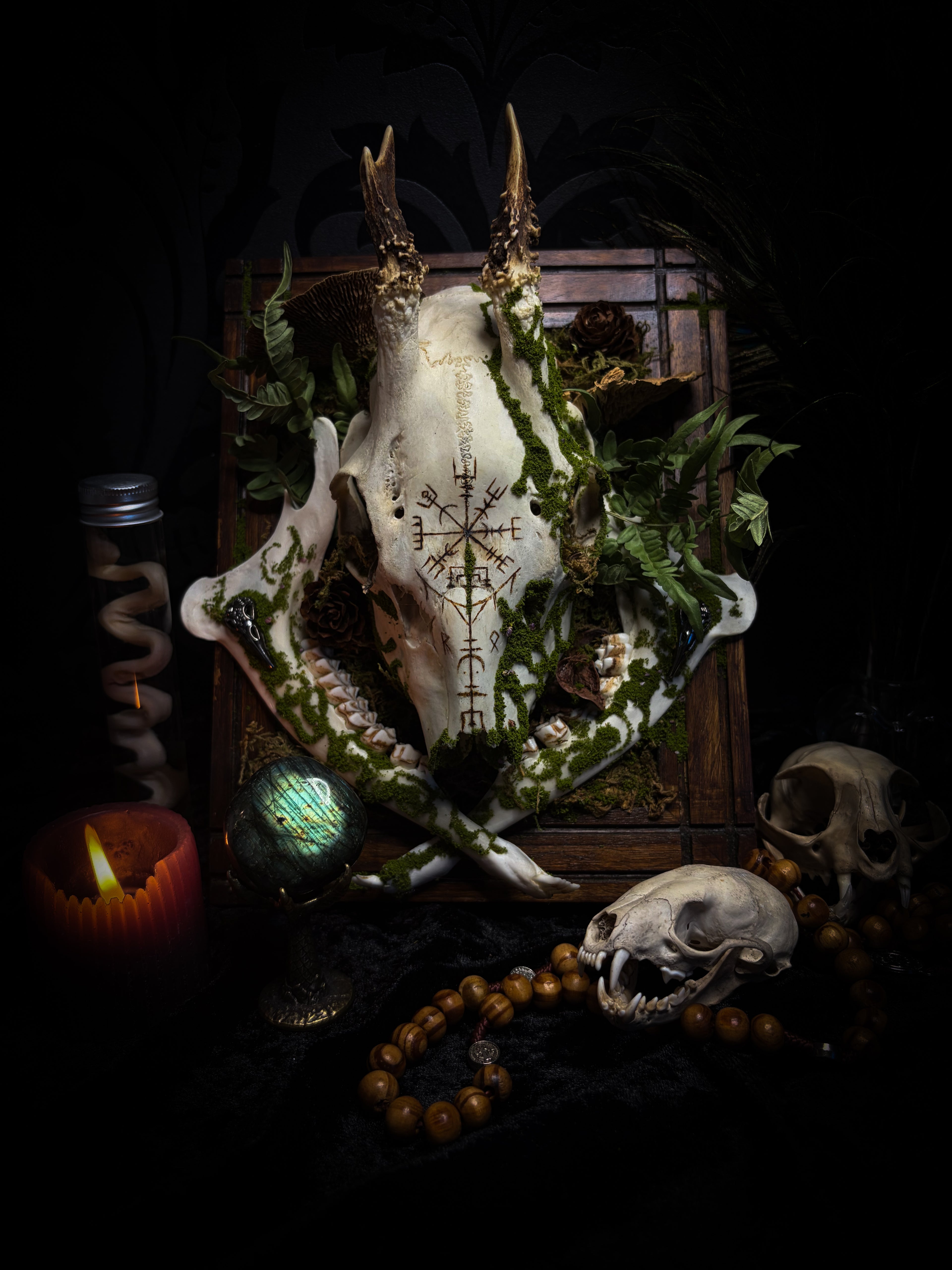 Vegvísir | handmade roe deer skull relic with pyrography — Vegvísir runic compass and Nordic runes, moss, ferns, mushrooms and raven motifs on wooden frame | Morbid Oddities
