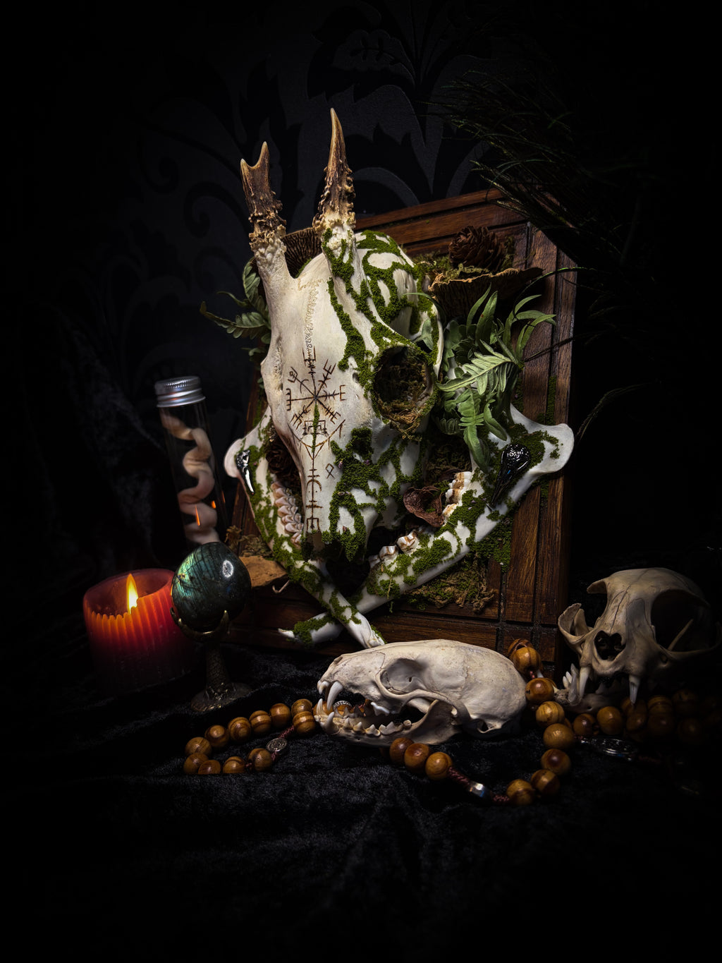 Vegvísir | handmade roe deer skull relic with pyrography — Vegvísir runic compass and Nordic runes, moss, ferns, mushrooms and raven motifs on wooden frame | Morbid Oddities
