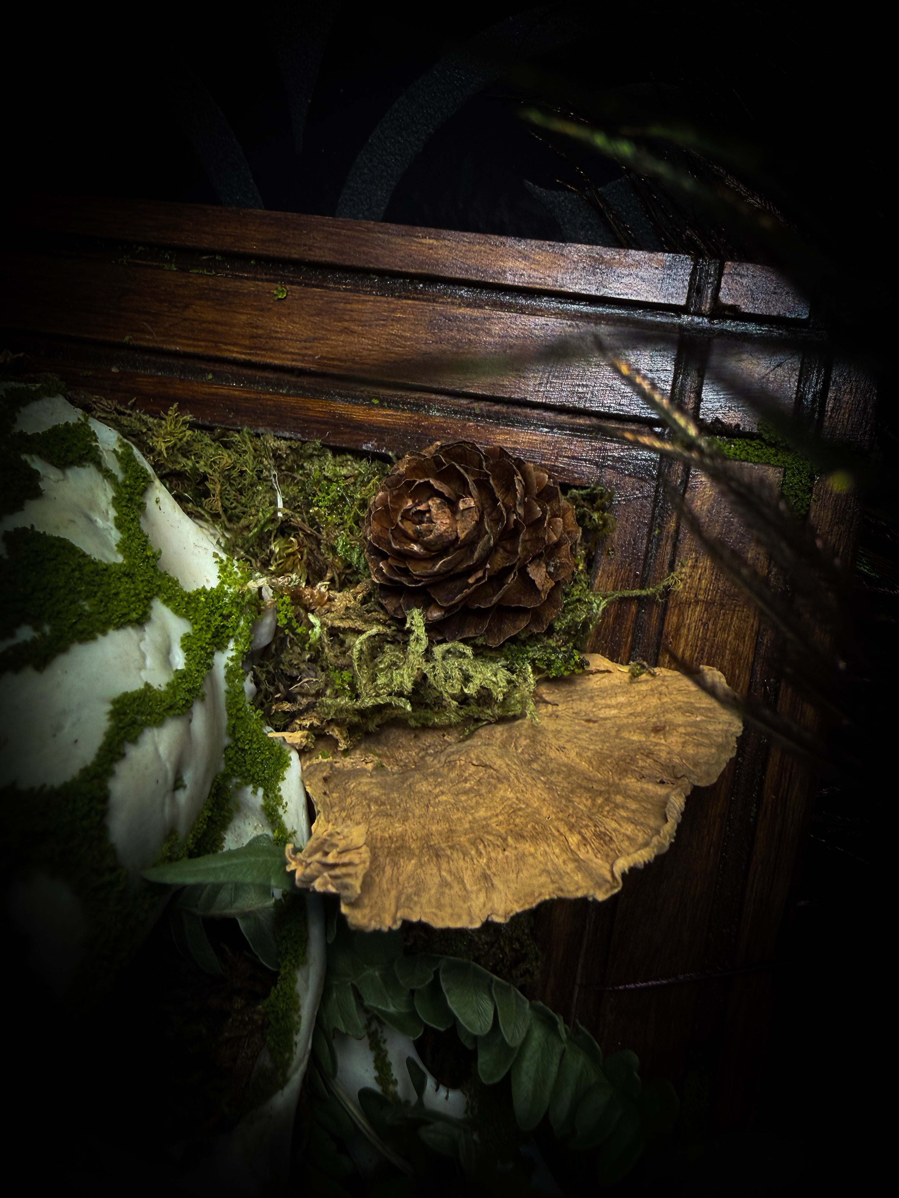 Vegvísir | handmade roe deer skull relic with pyrography — Vegvísir runic compass and Nordic runes, moss, ferns, mushrooms and raven motifs on wooden frame | Morbid Oddities
