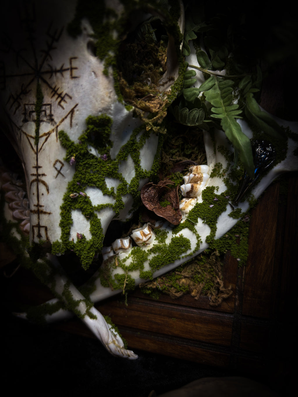 Vegvísir | handmade roe deer skull relic with pyrography — Vegvísir runic compass and Nordic runes, moss, ferns, mushrooms and raven motifs on wooden frame | Morbid Oddities
