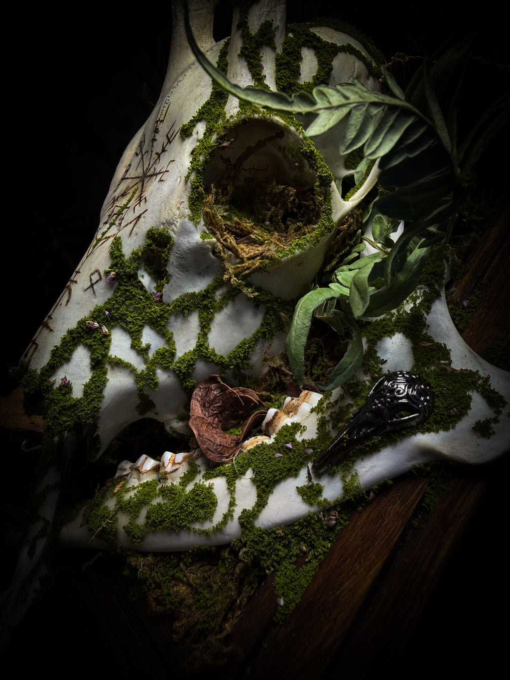 Vegvísir | handmade roe deer skull relic with pyrography — Vegvísir runic compass and Nordic runes, moss, ferns, mushrooms and raven motifs on wooden frame | Morbid Oddities
