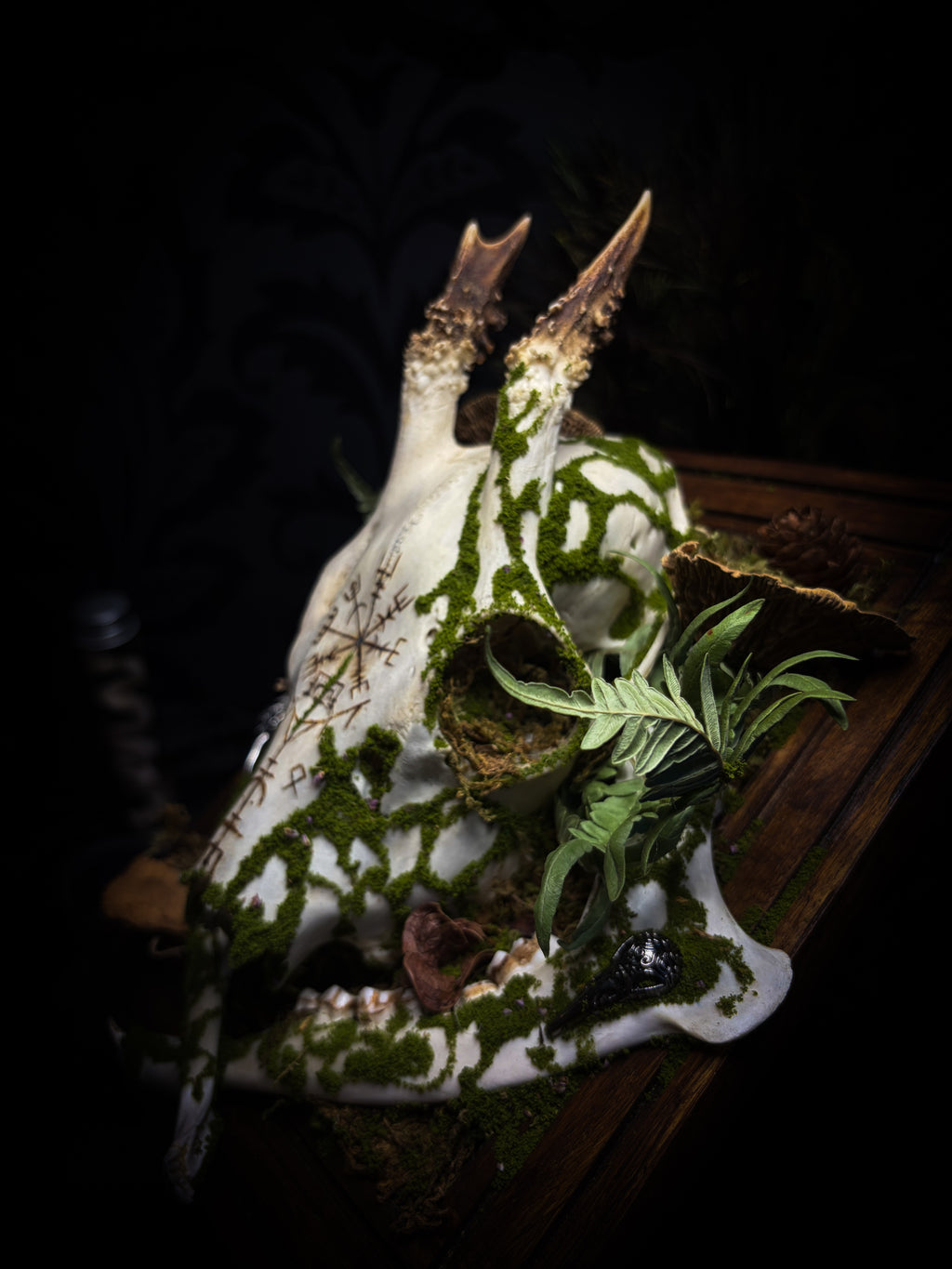 Vegvísir | handmade roe deer skull relic with pyrography — Vegvísir runic compass and Nordic runes, moss, ferns, mushrooms and raven motifs on wooden frame | Morbid Oddities
