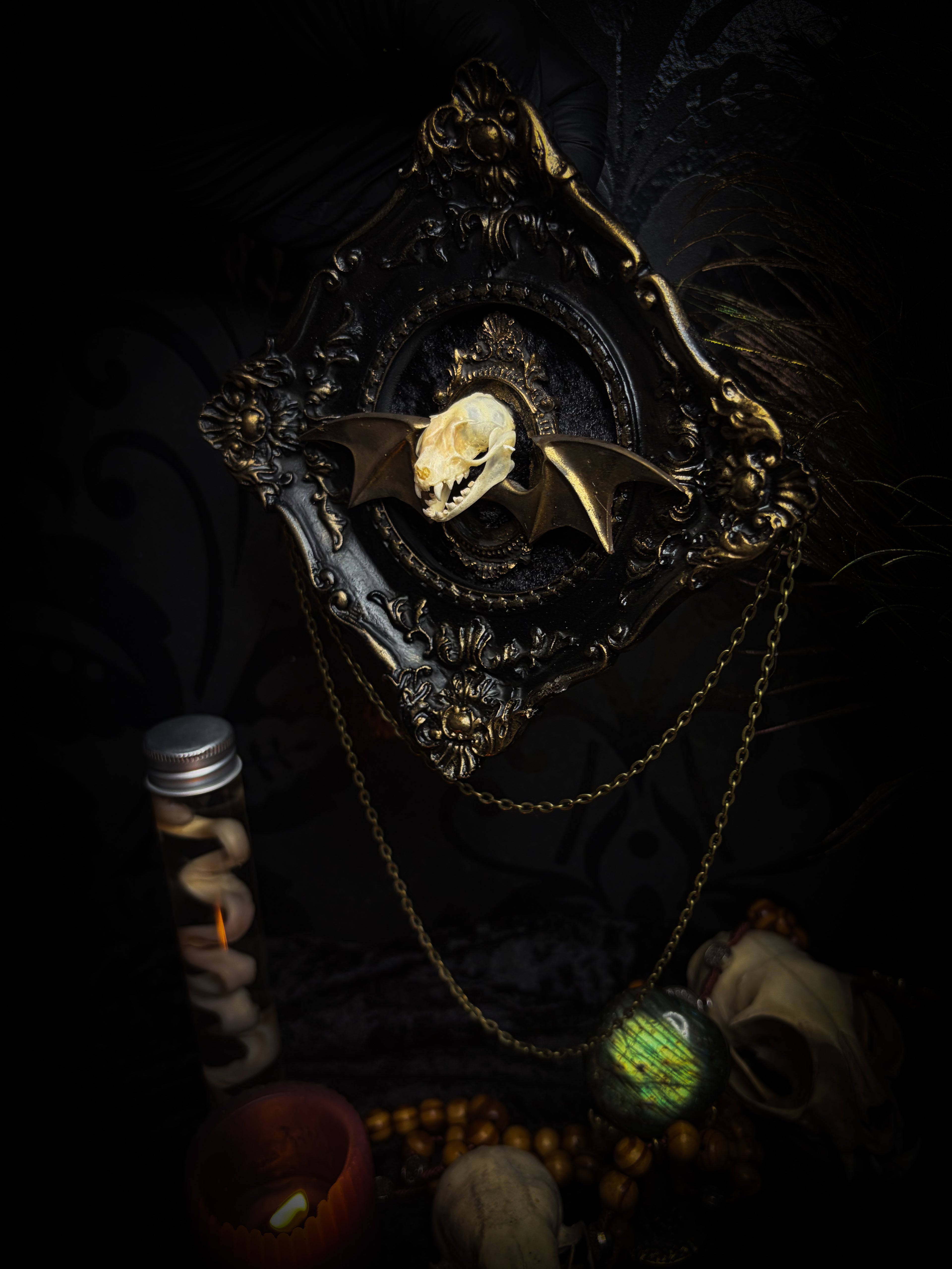 The Night Sovereign | handmade gothic relic with hand-cast painted bat skull, gold wings, gold chain and black velvet on ornate black frame | Morbid Oddities

